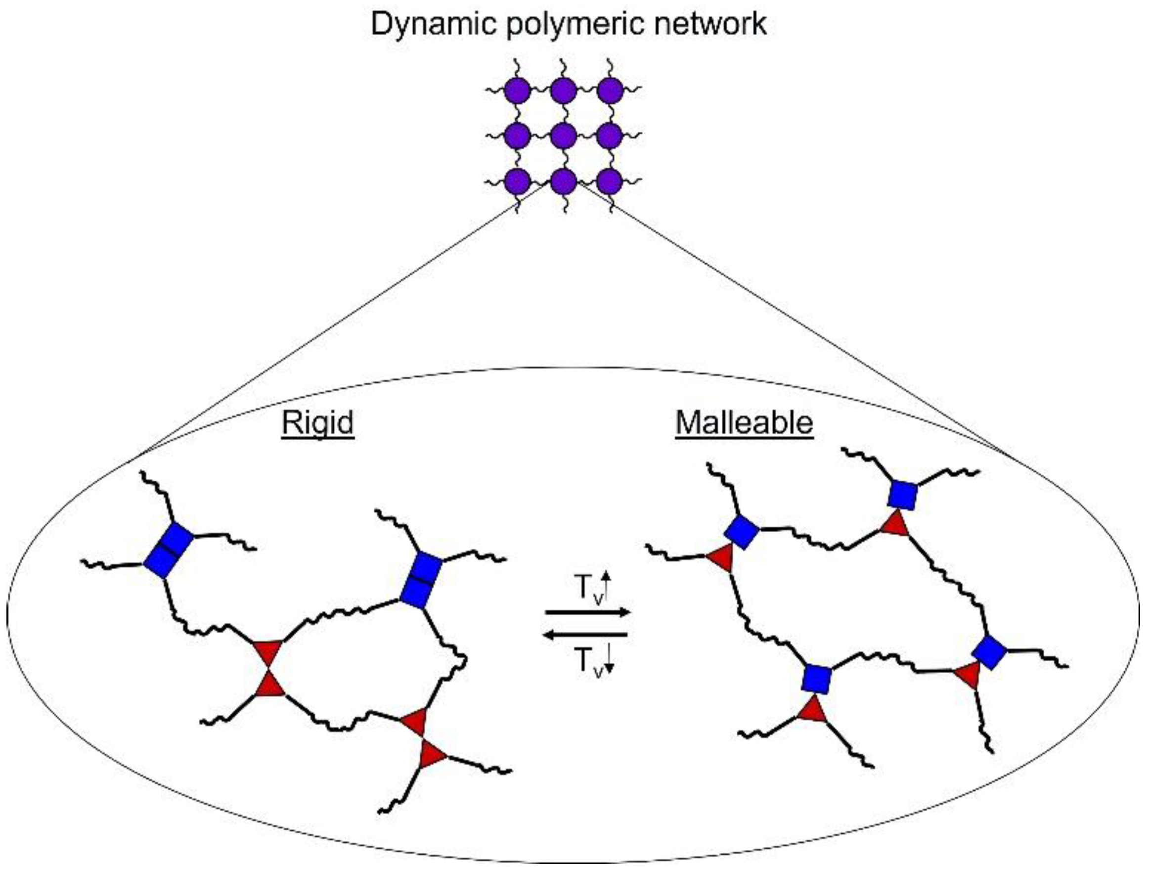 Preprints 73904 g005