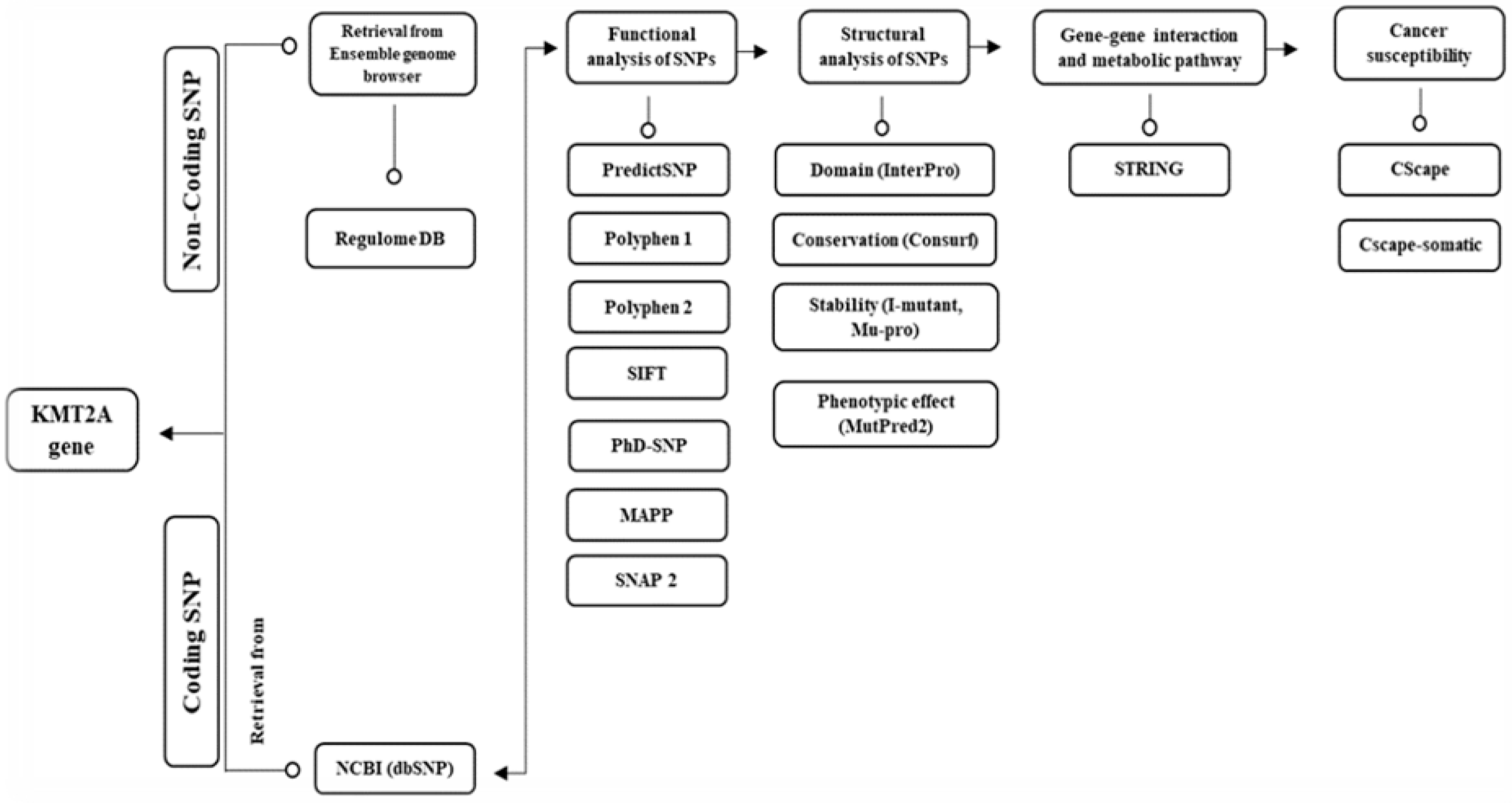 Preprints 86974 g001