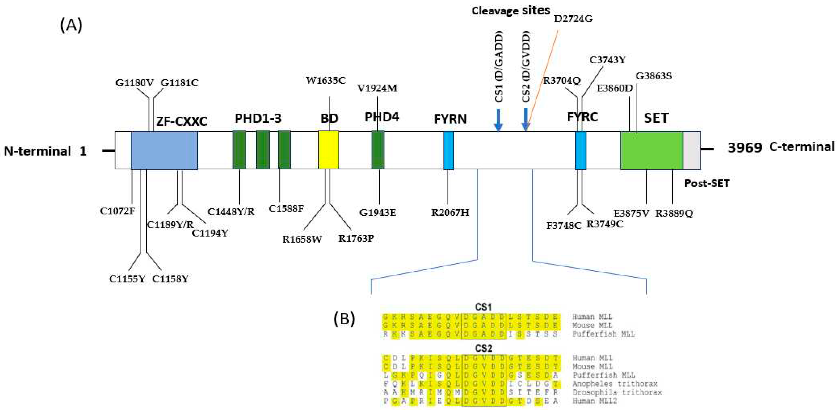 Preprints 86974 g002