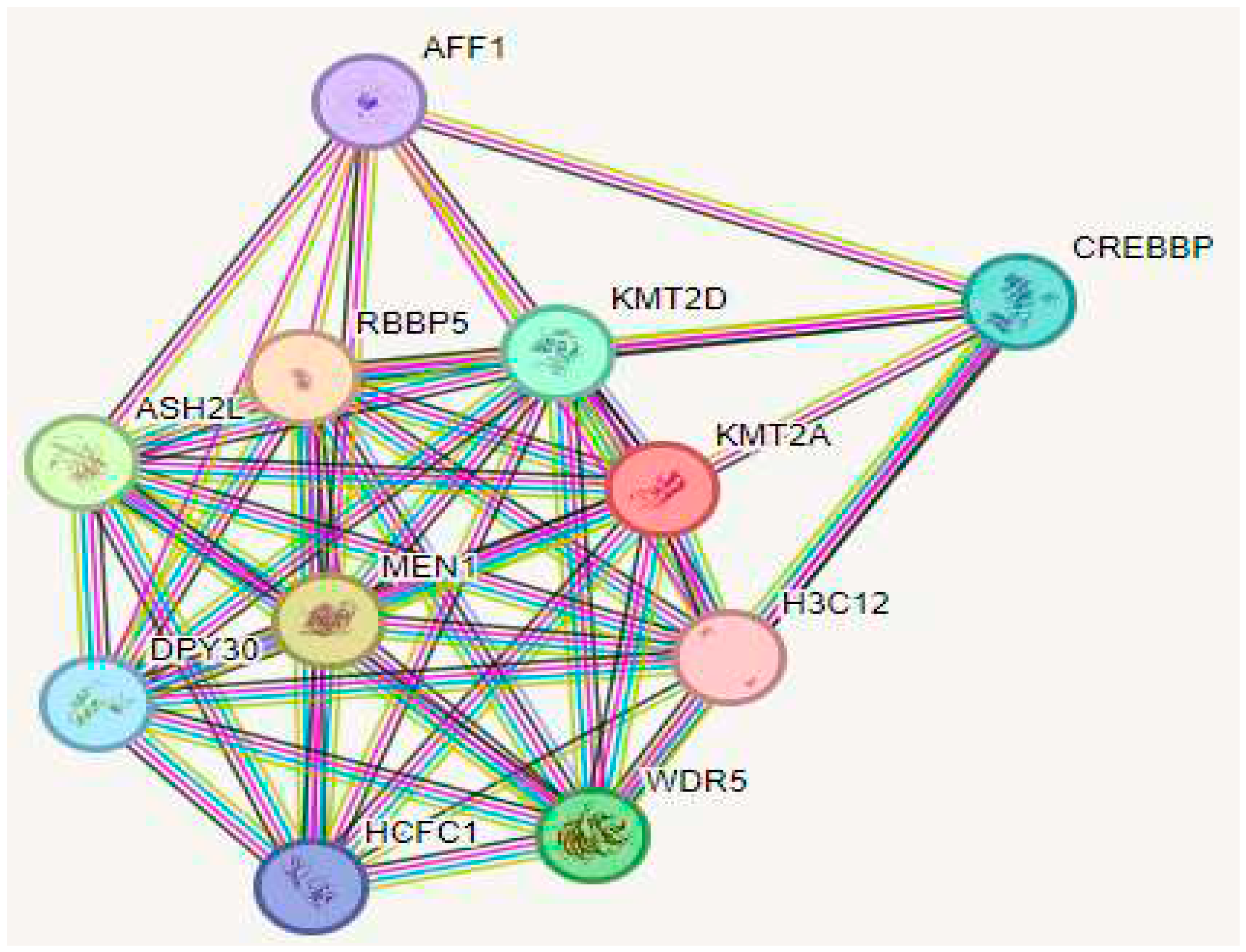 Preprints 86974 g003