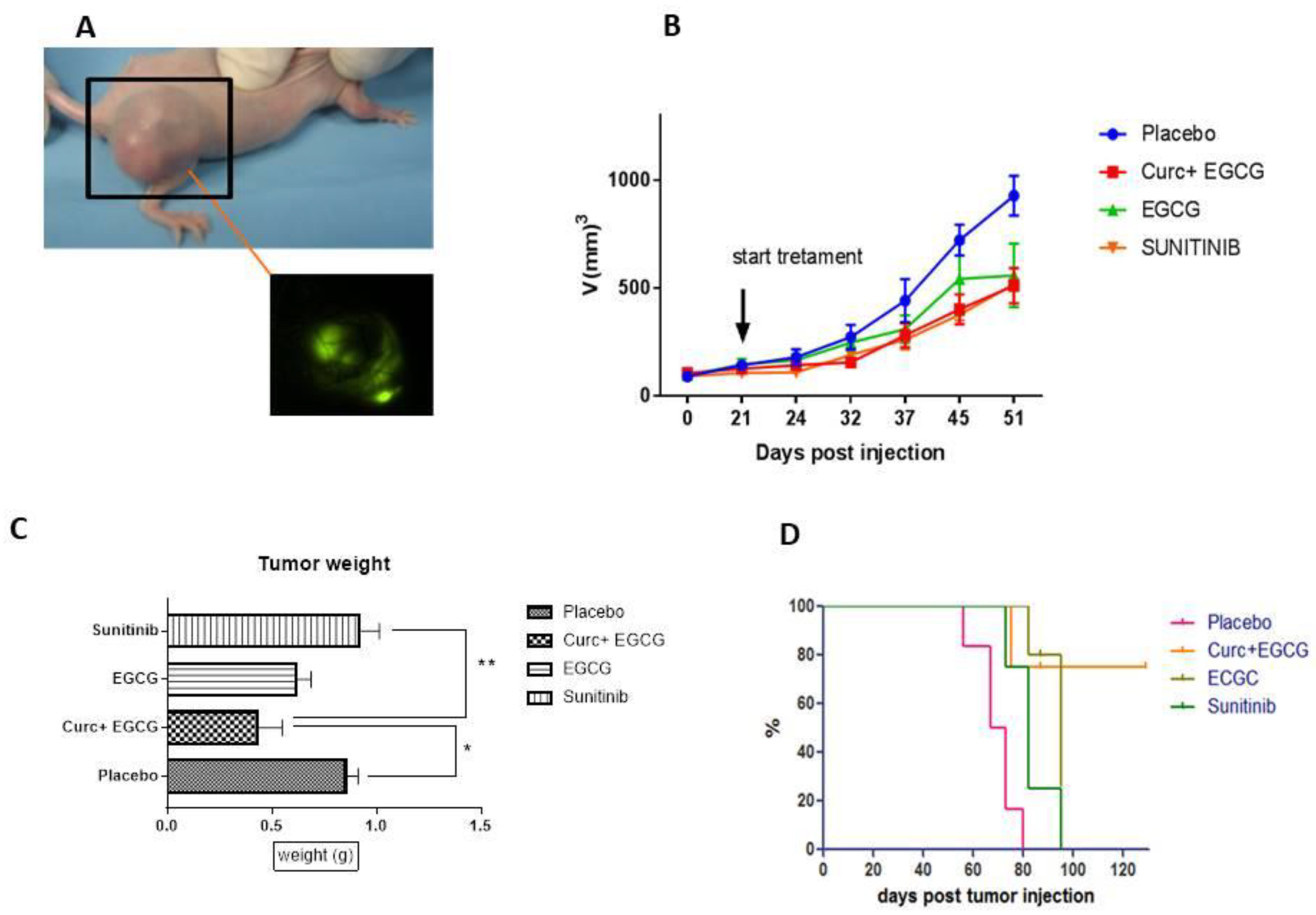 Preprints 90978 g001