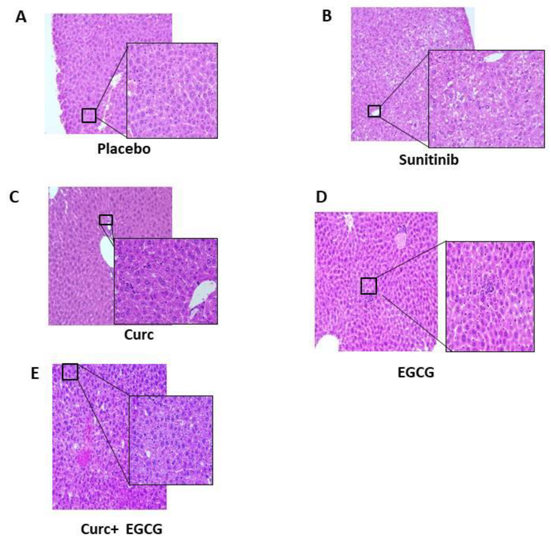 Preprints 90978 g003