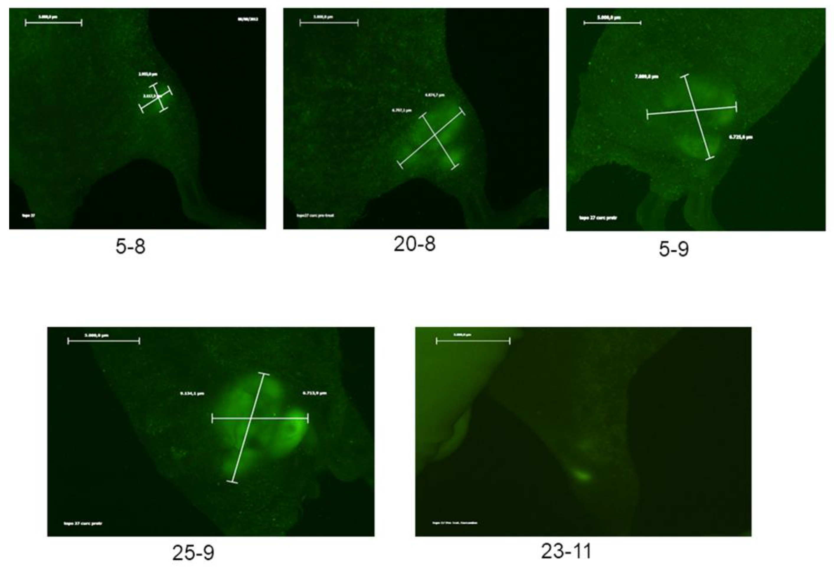 Preprints 90978 g007