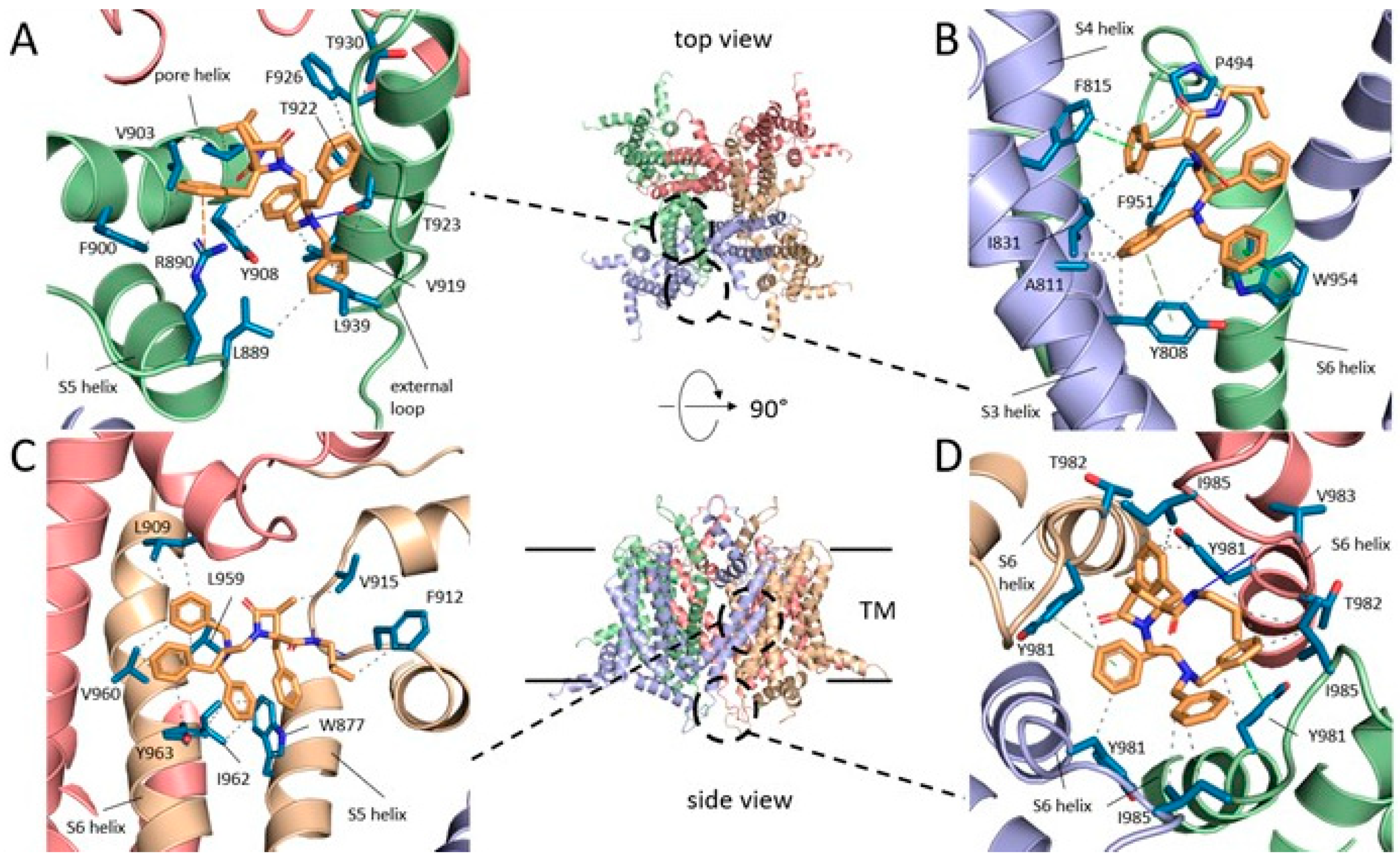 Preprints 84037 g005