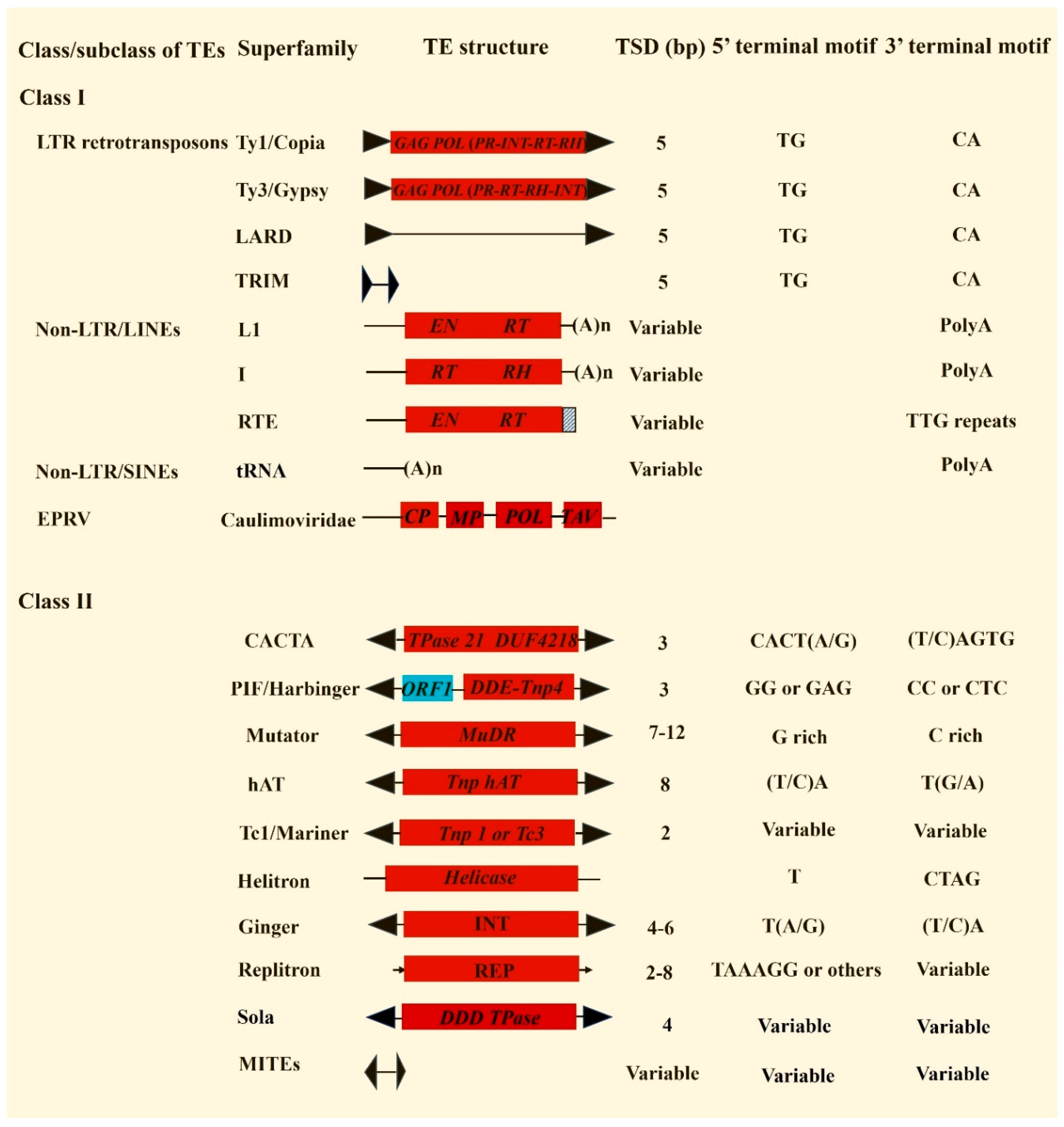 Preprints 90131 g001