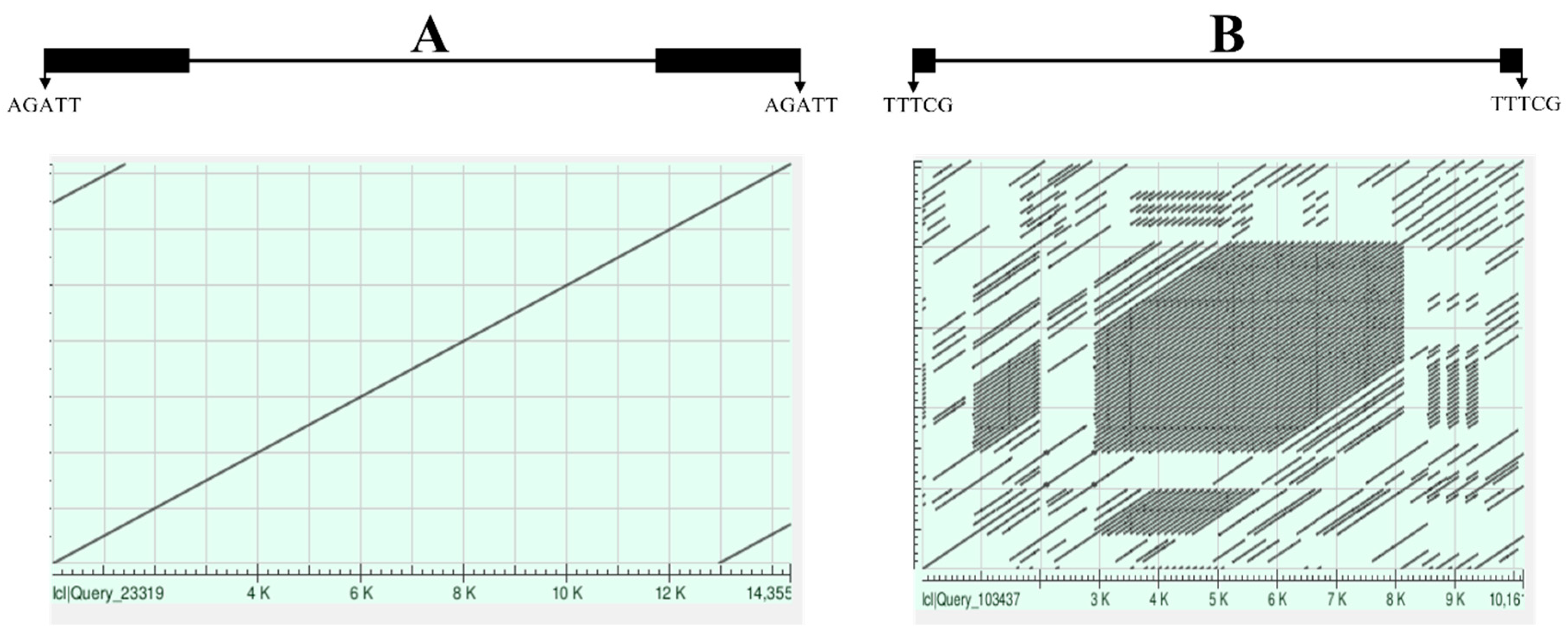 Preprints 90131 g004