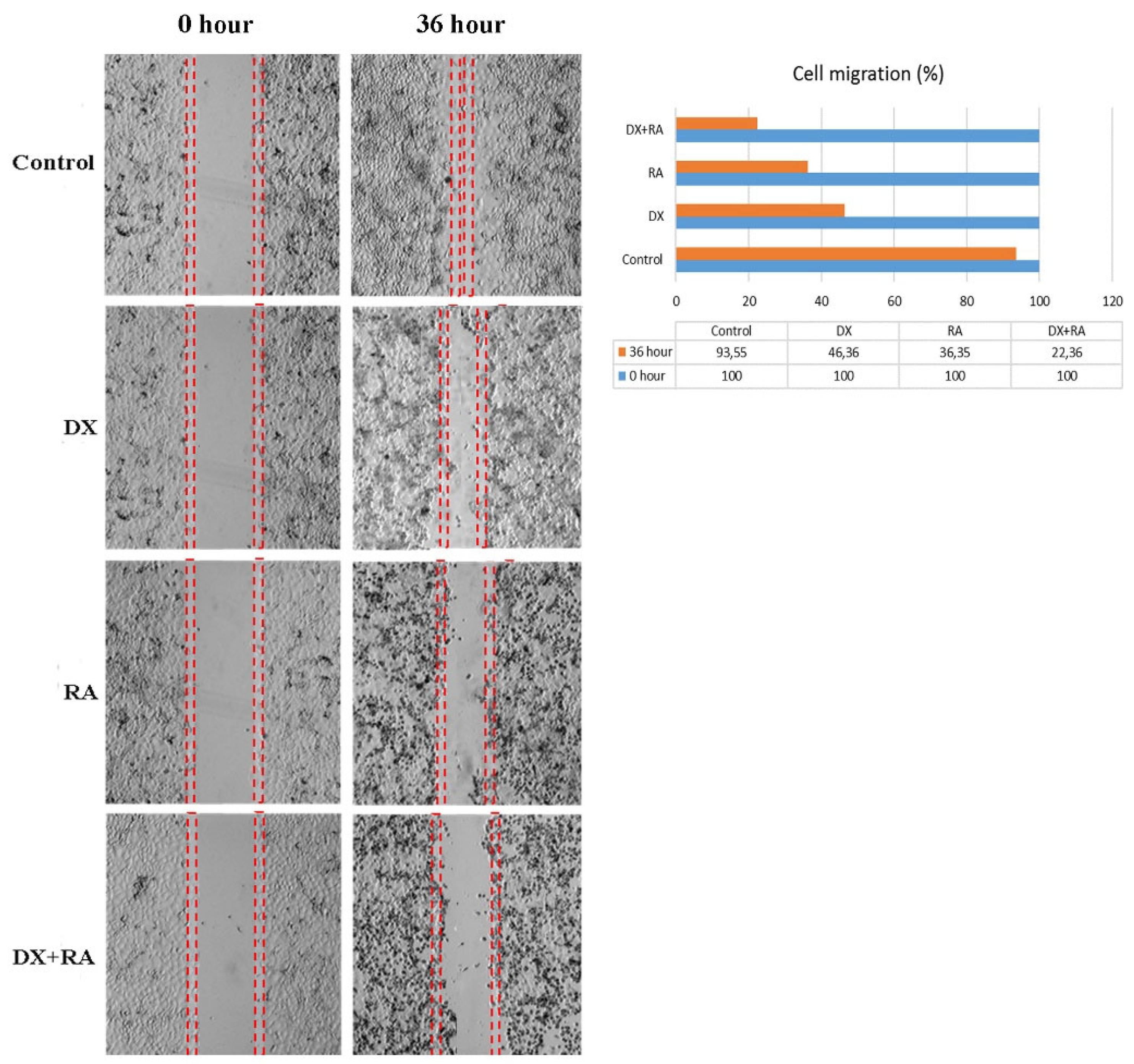 Preprints 113708 g003