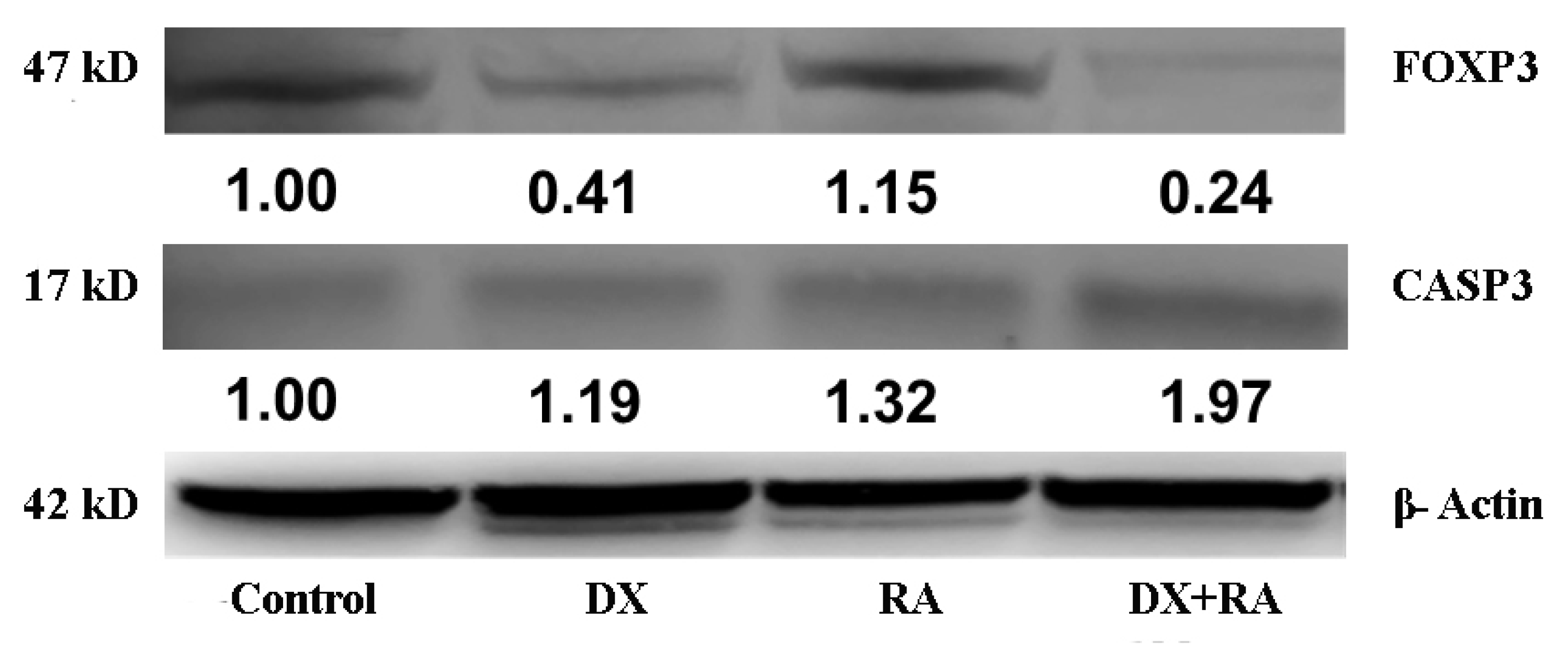 Preprints 113708 g006