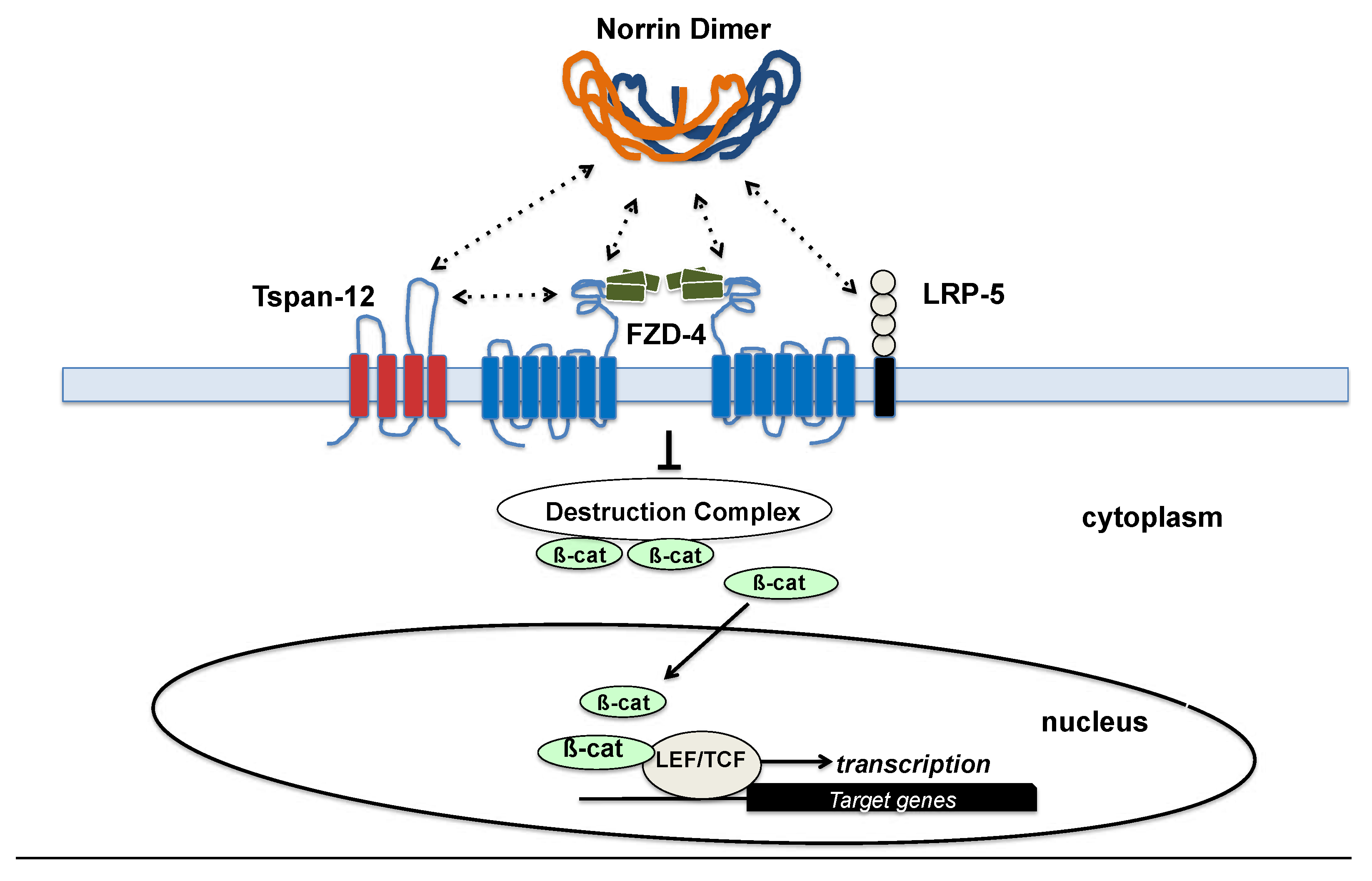 Preprints 85259 g005