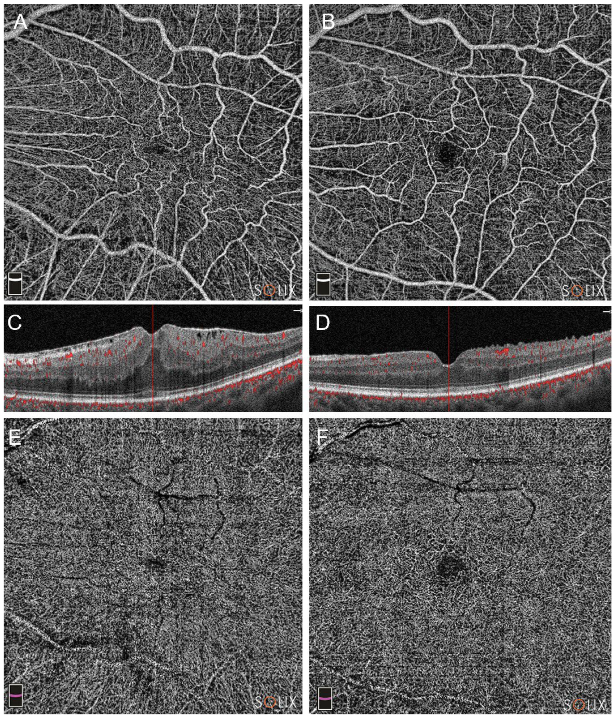 Preprints 95843 g001