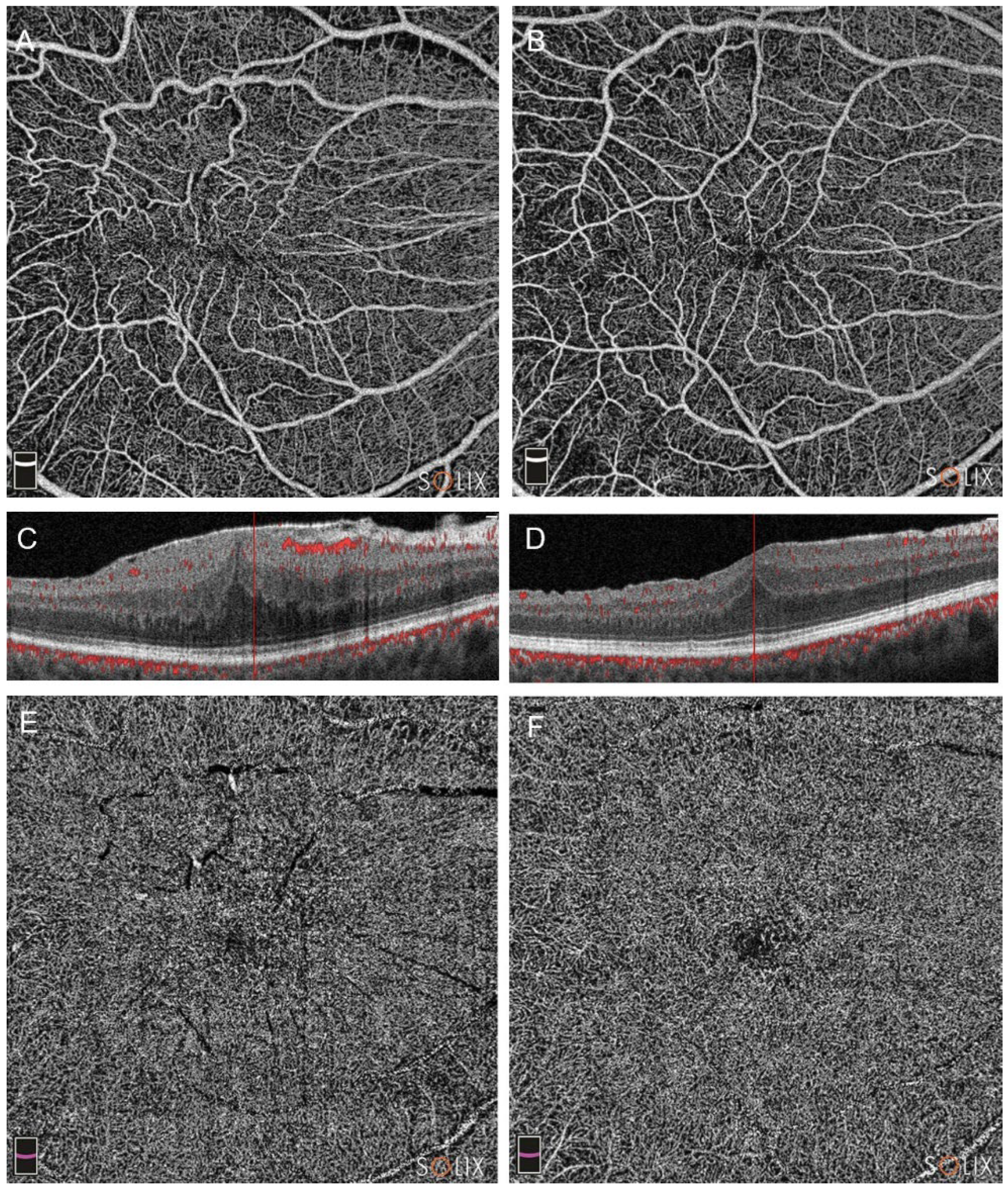 Preprints 95843 g002