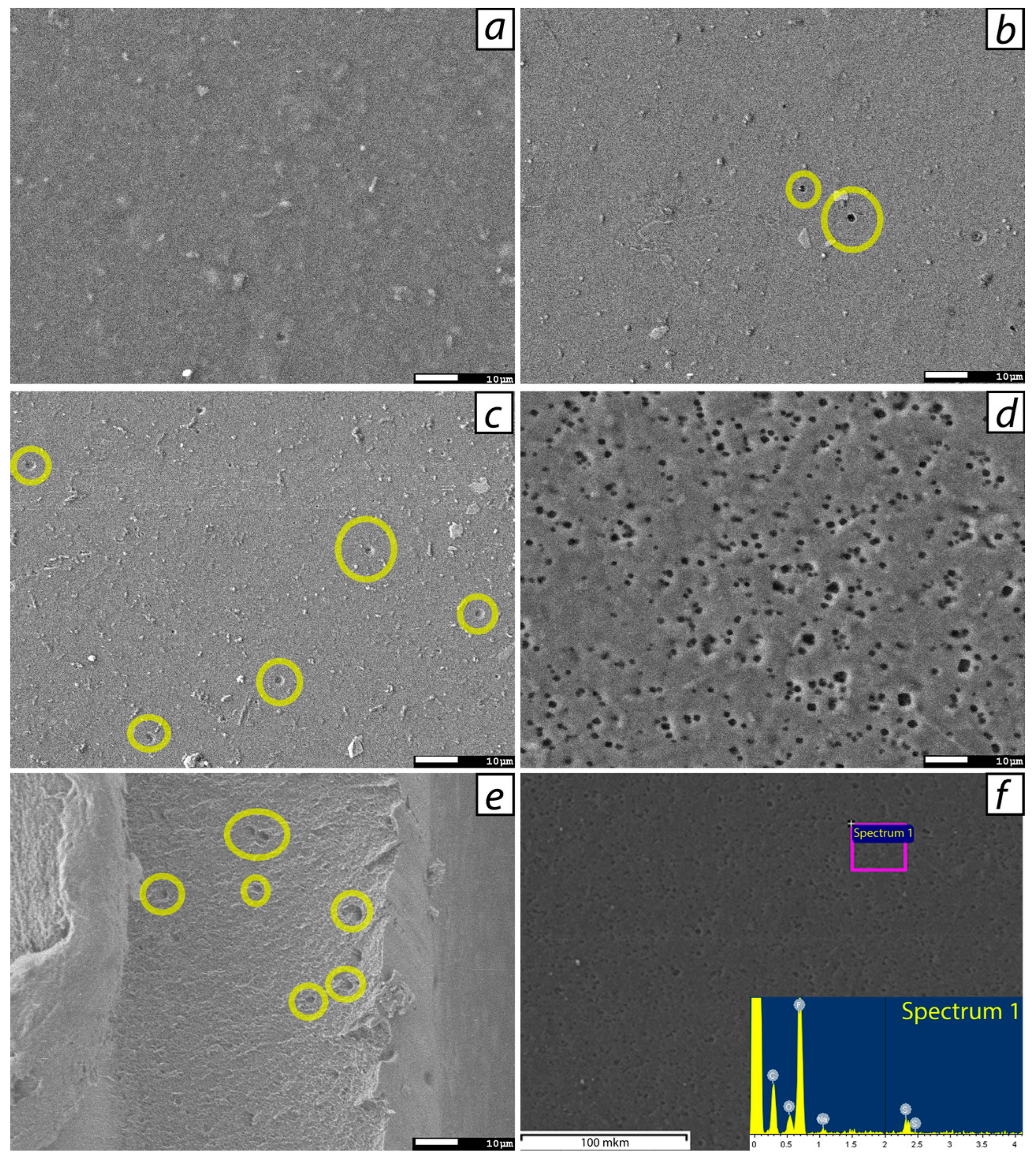 Preprints 92427 g004