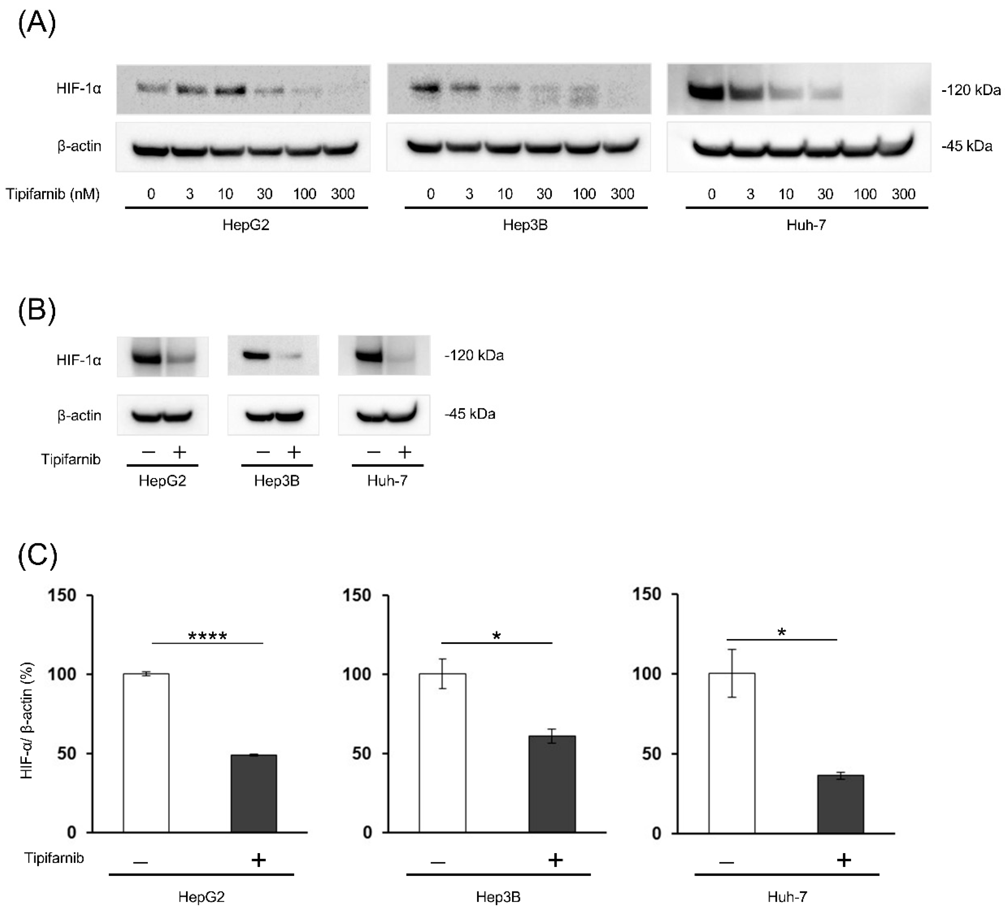 Preprints 75866 g001