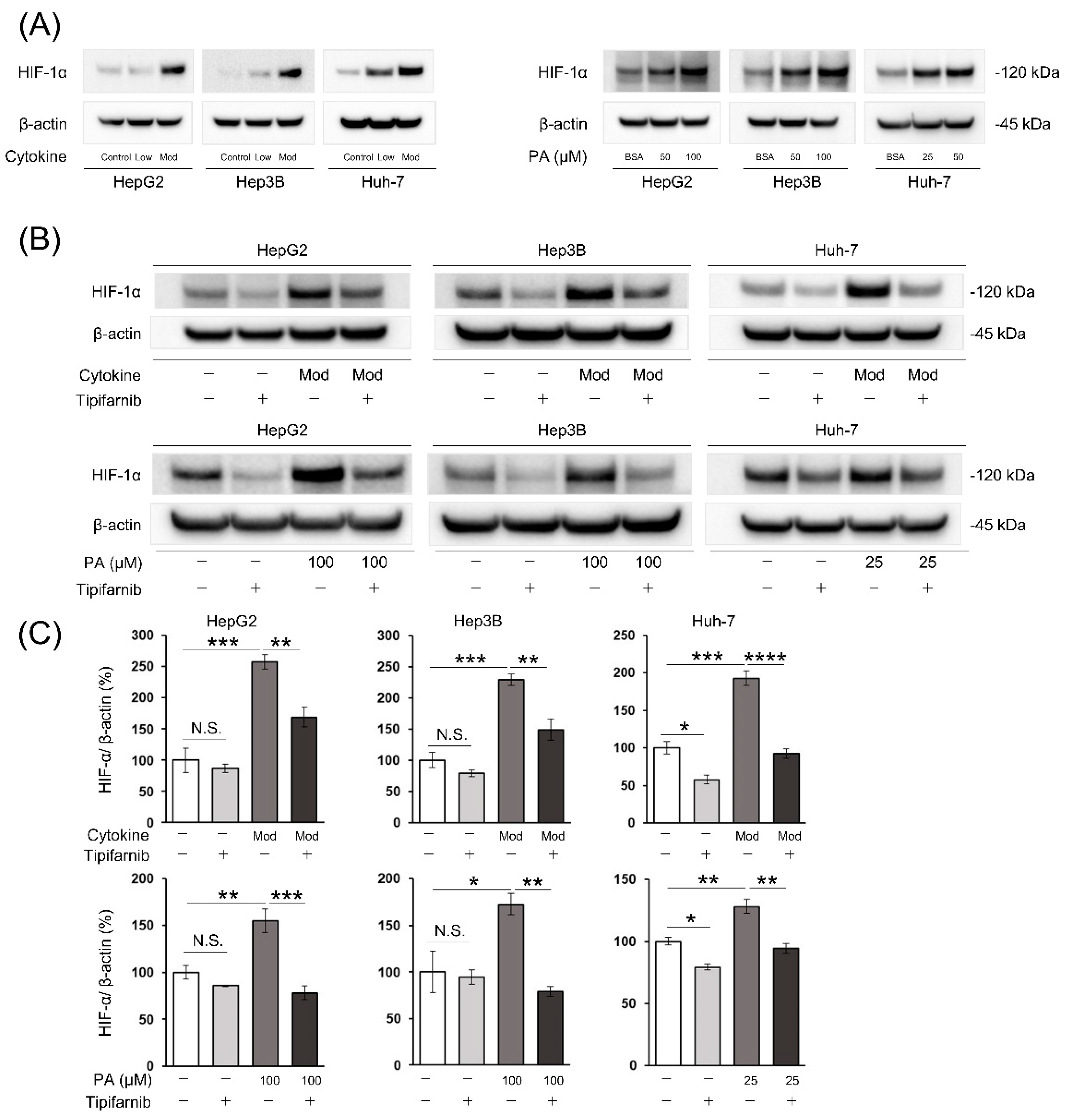 Preprints 75866 g002