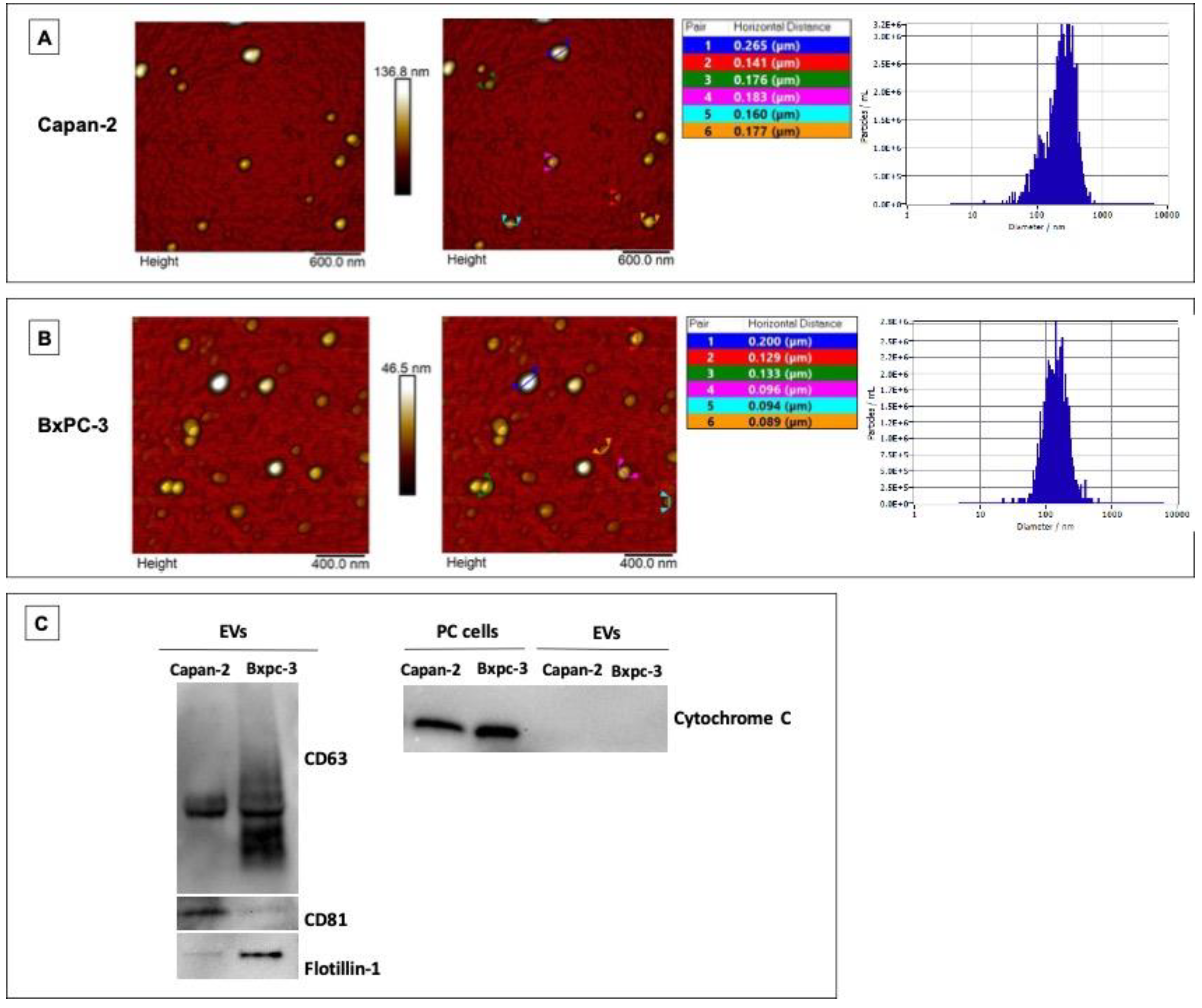 Preprints 103691 g001