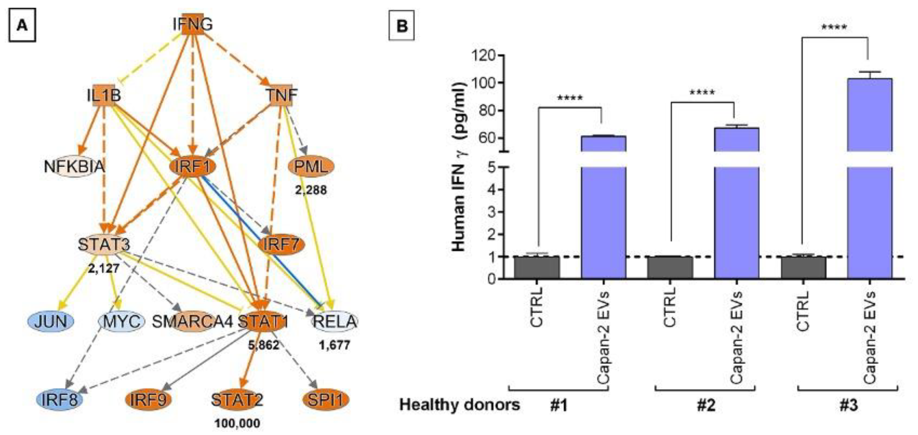 Preprints 103691 g008