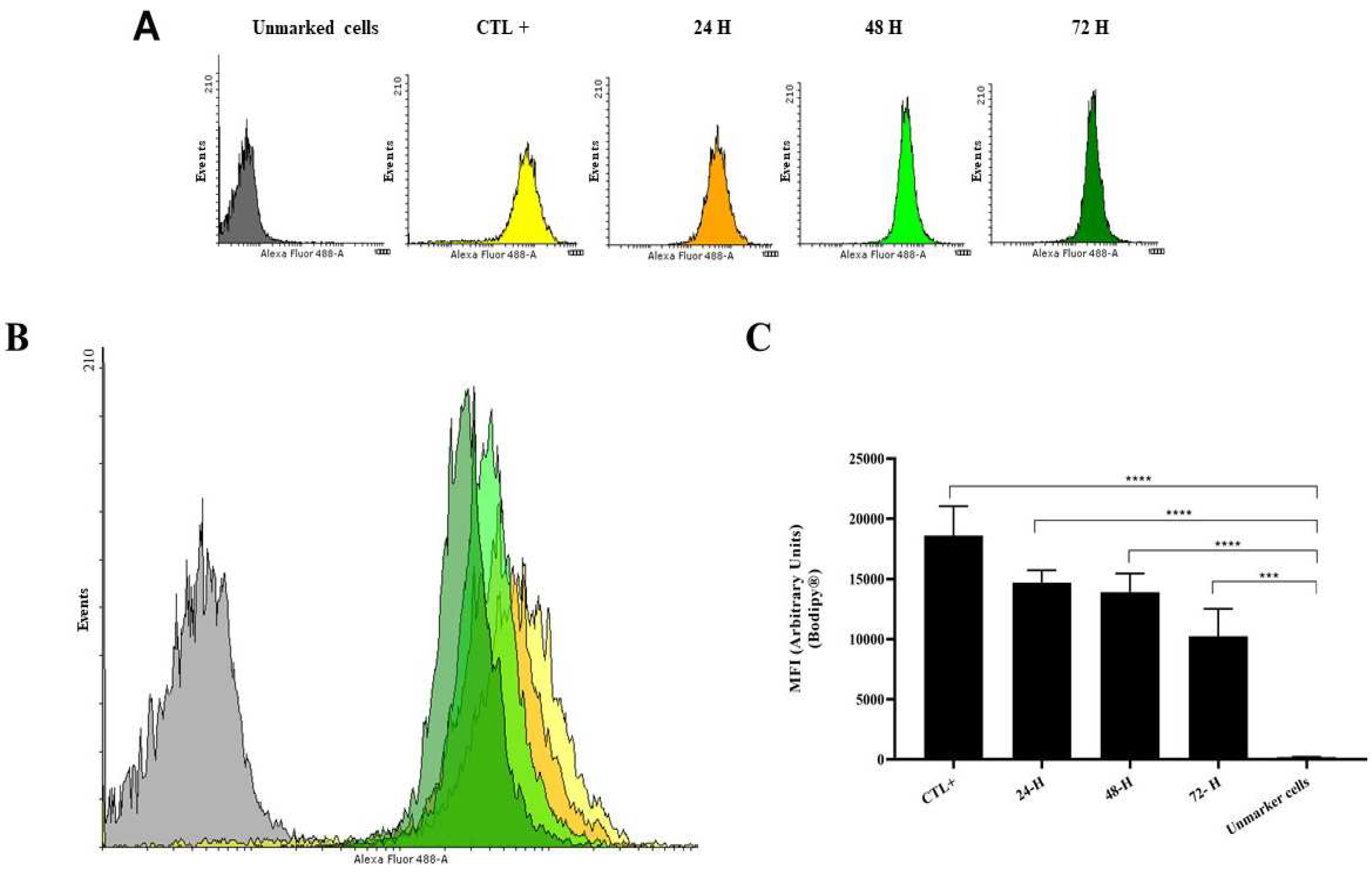 Preprints 96716 g004