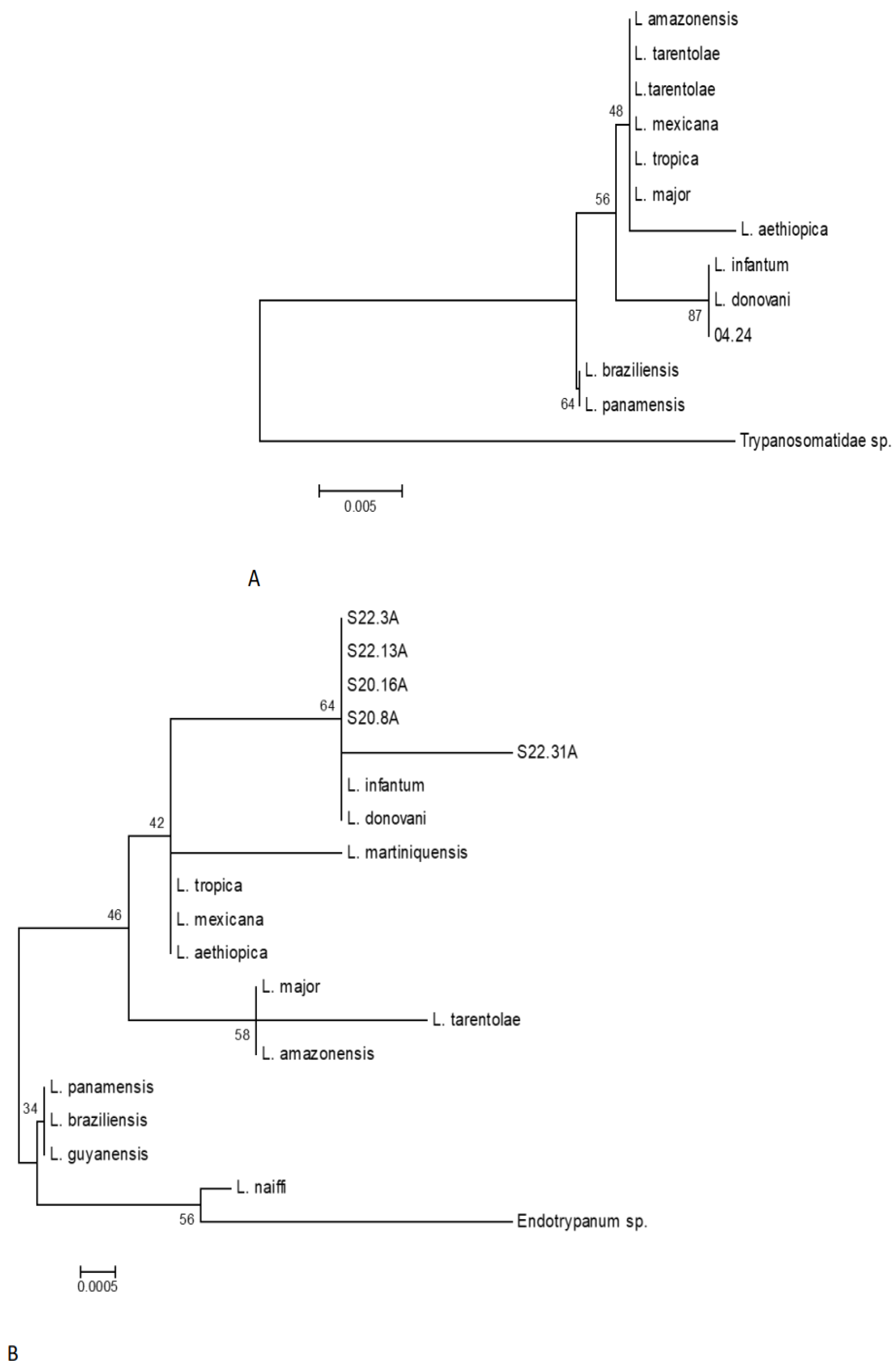 Preprints 96716 g005