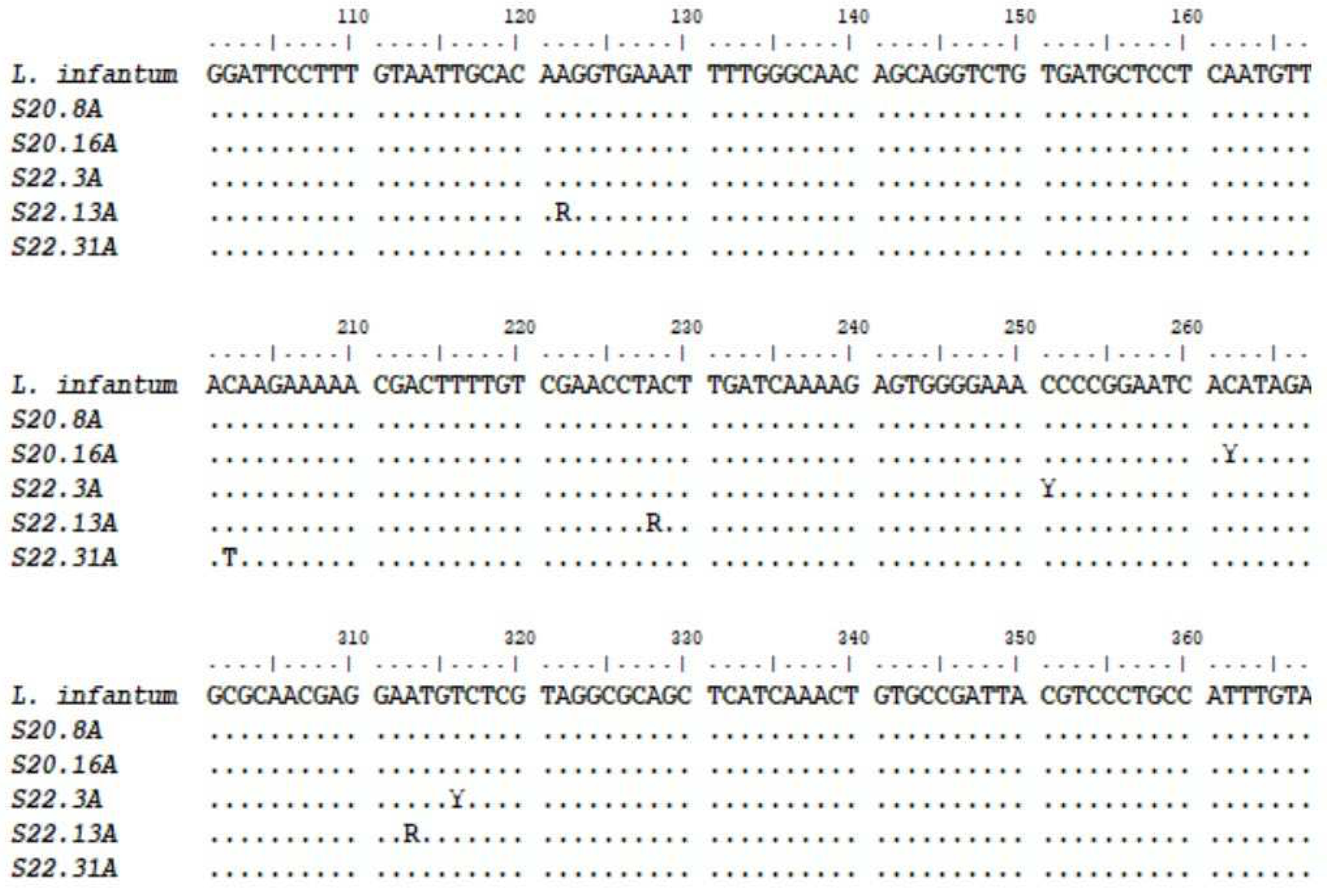 Preprints 96716 g006