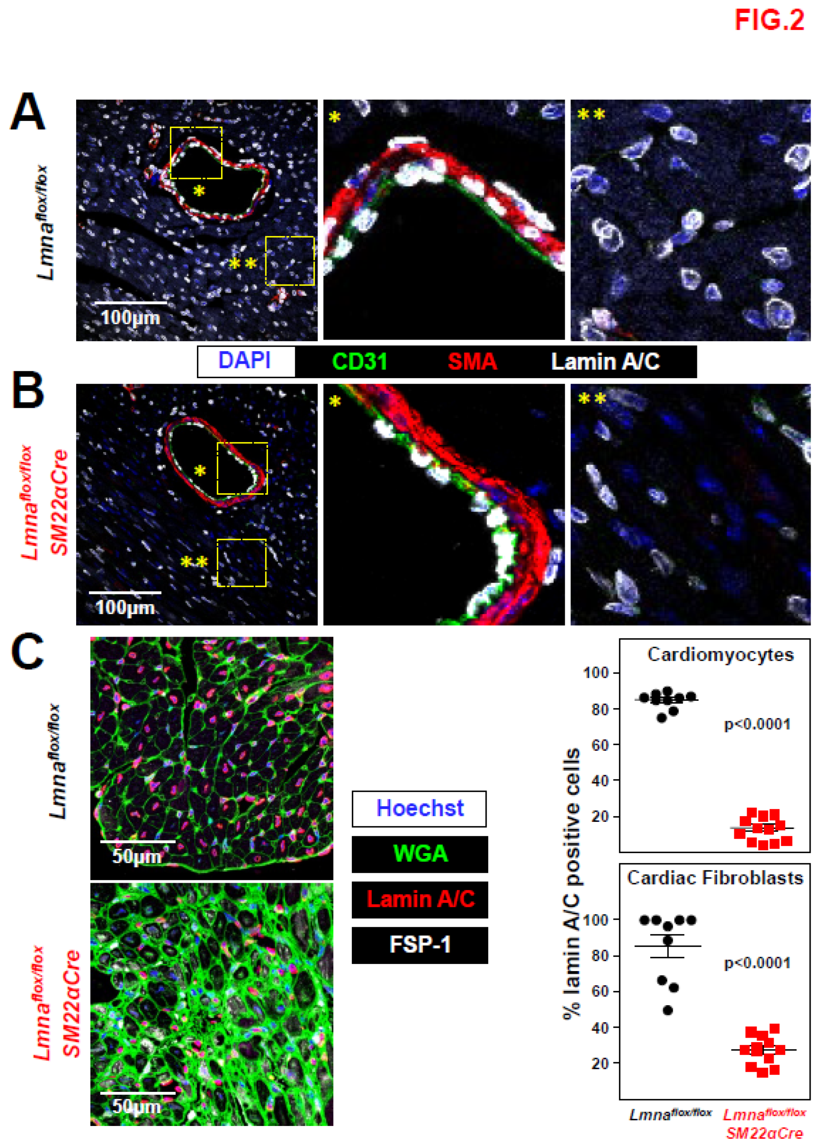 Preprints 76973 g002