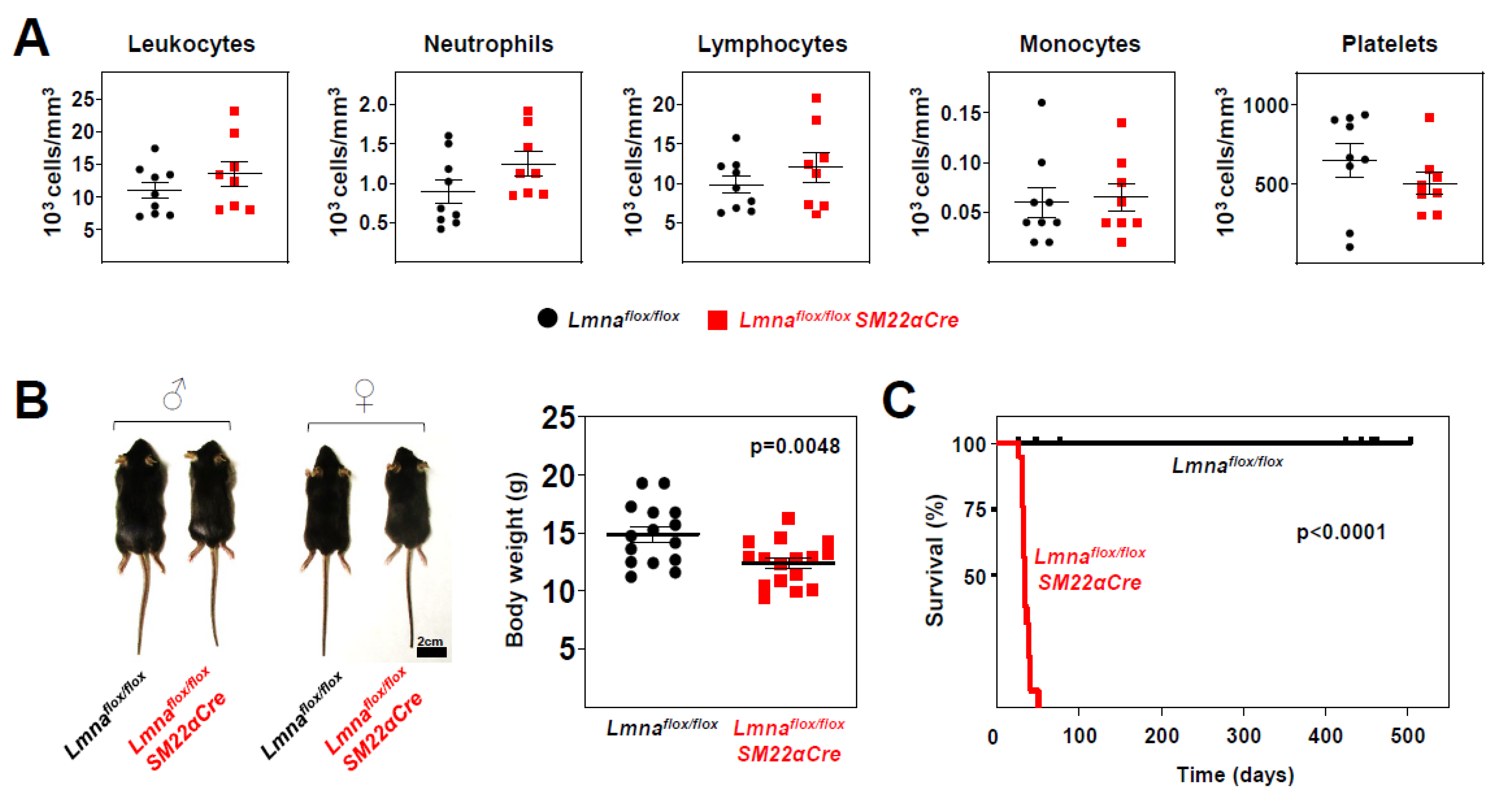 Preprints 76973 g003