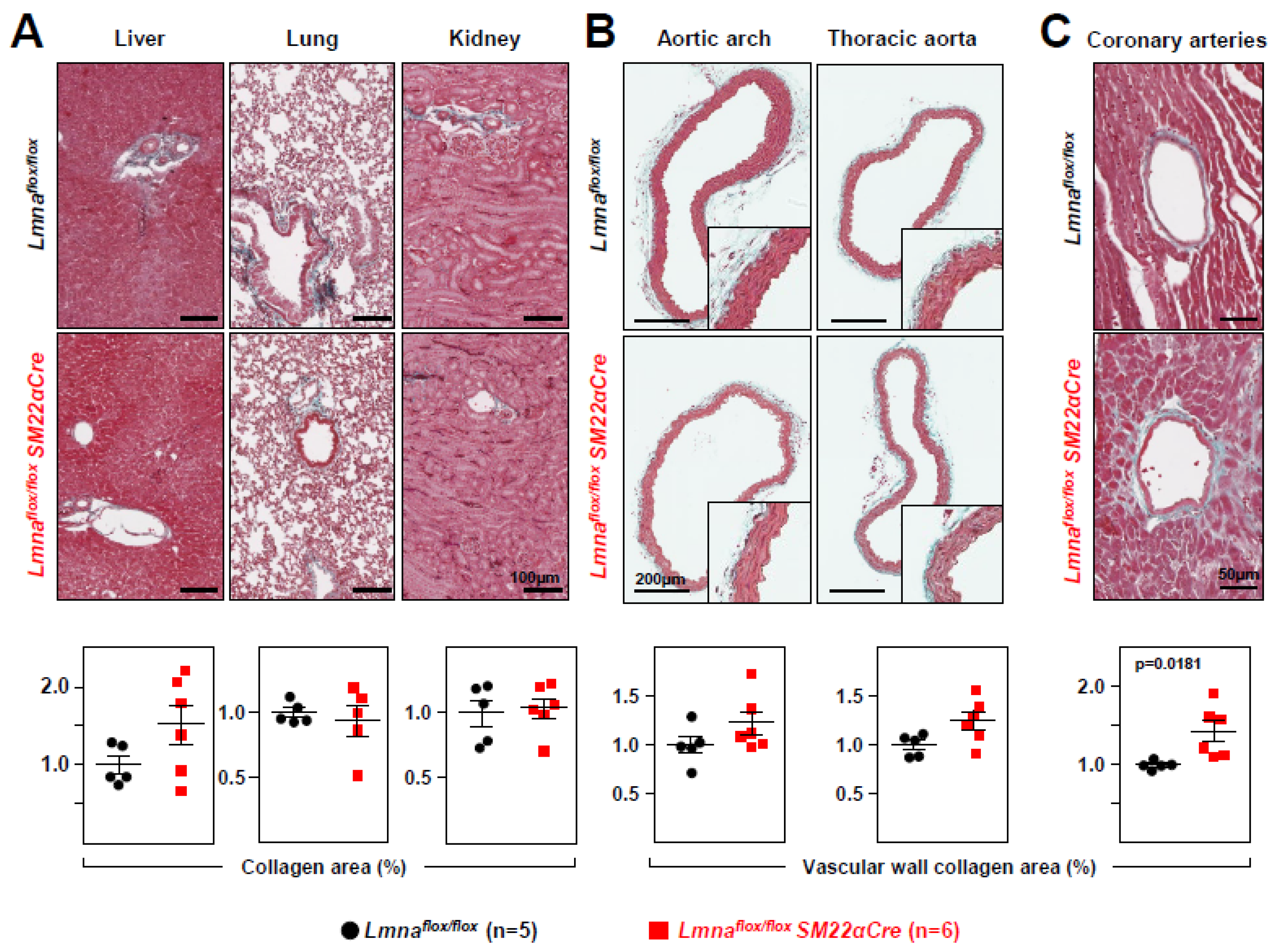 Preprints 76973 g004