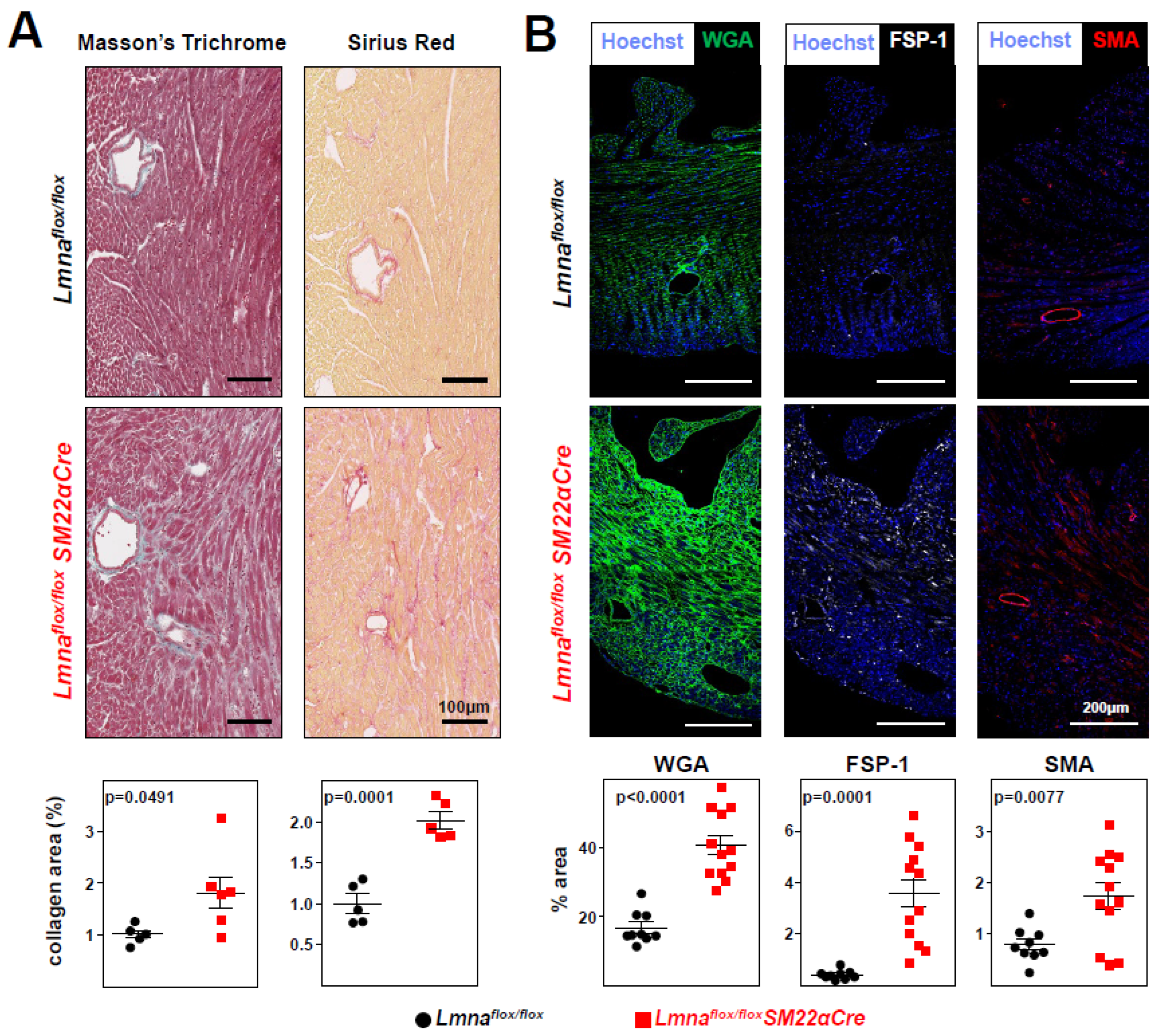 Preprints 76973 g005