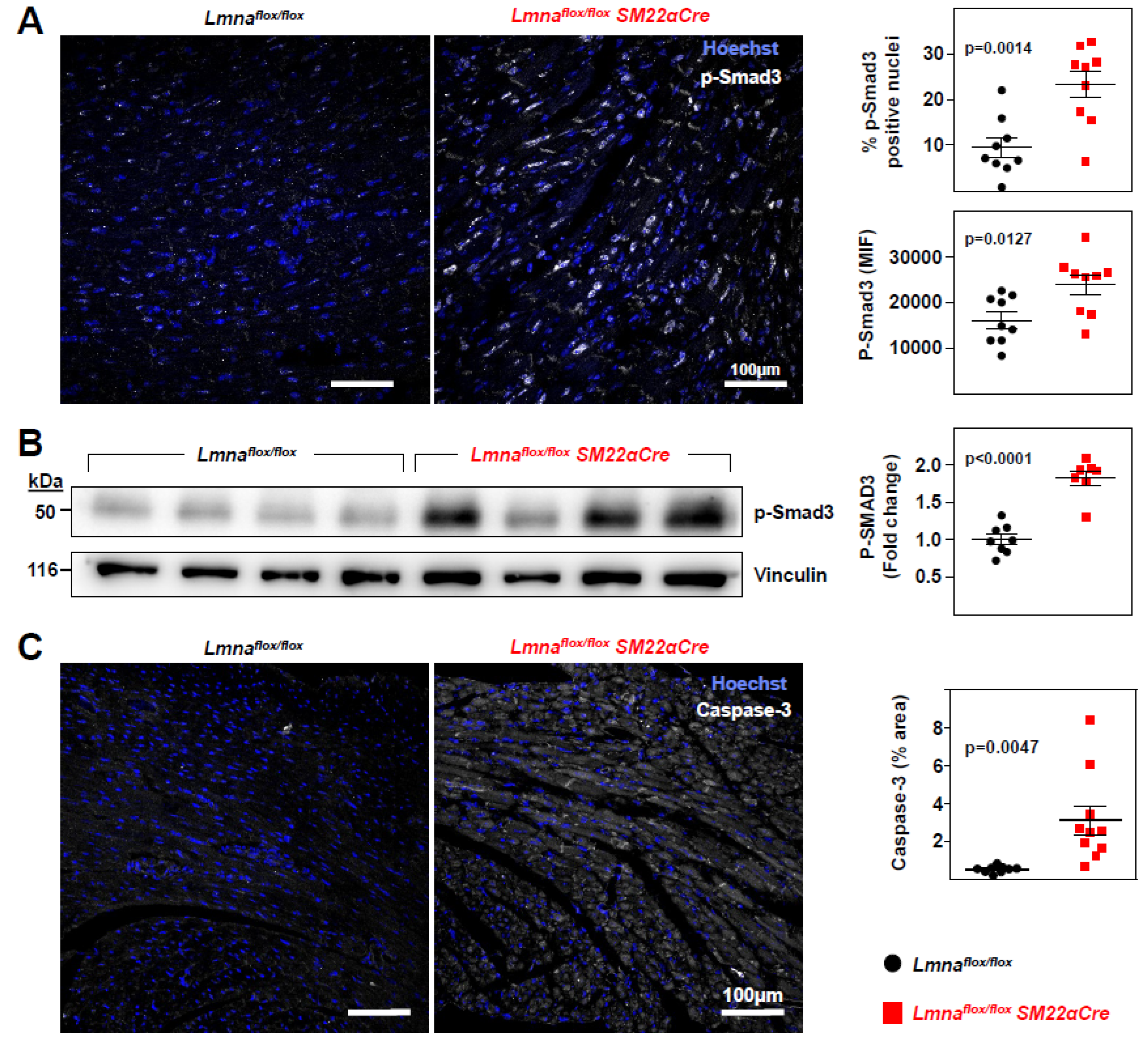 Preprints 76973 g006