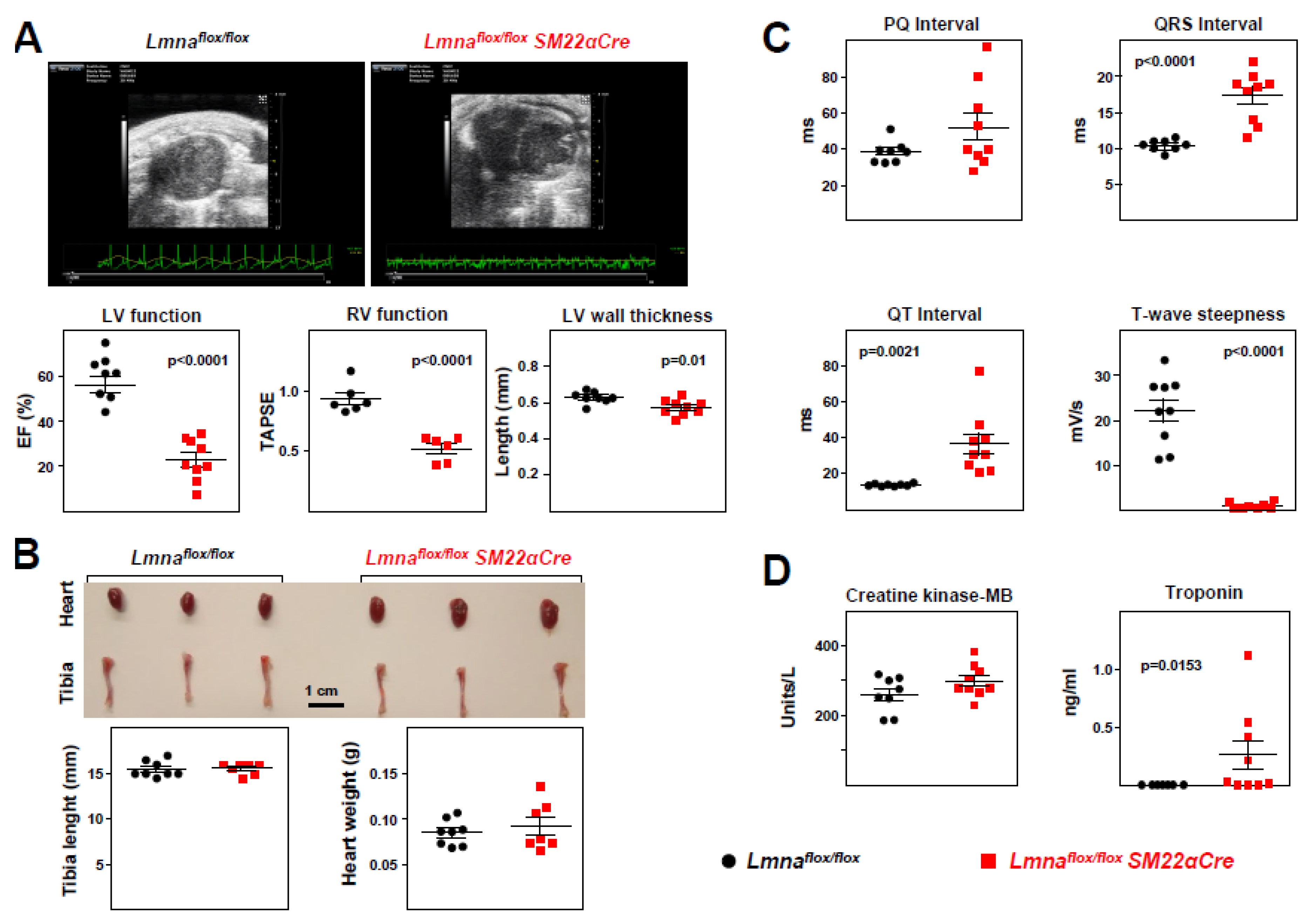 Preprints 76973 g007