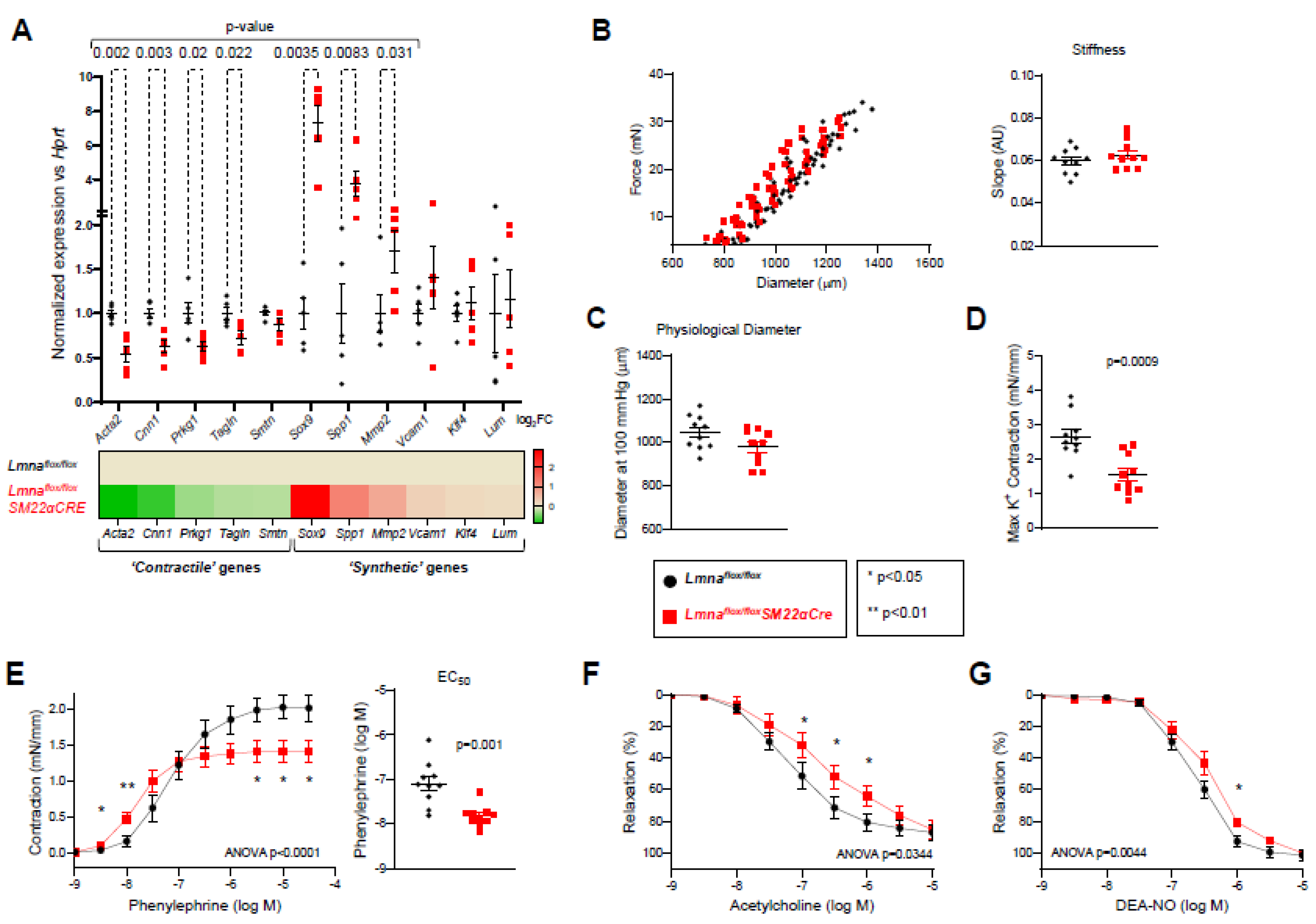 Preprints 76973 g008