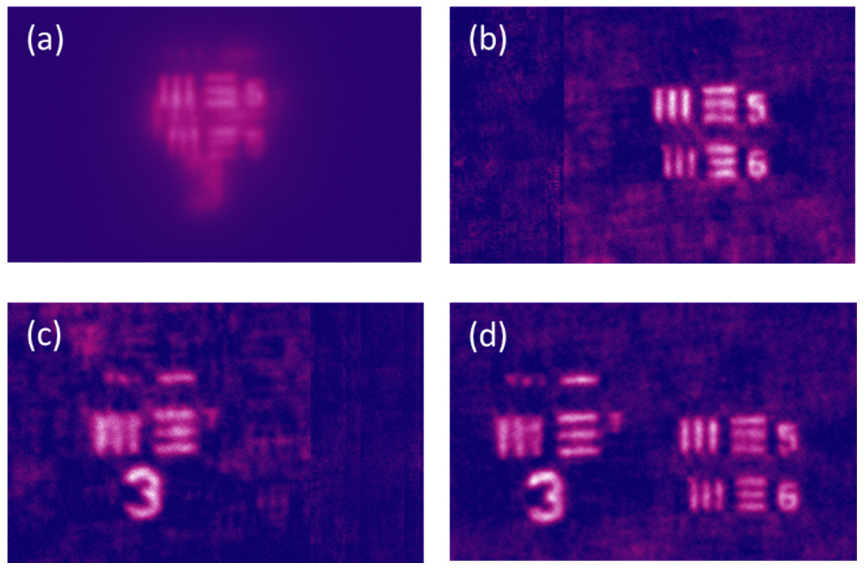 Preprints 94768 g010