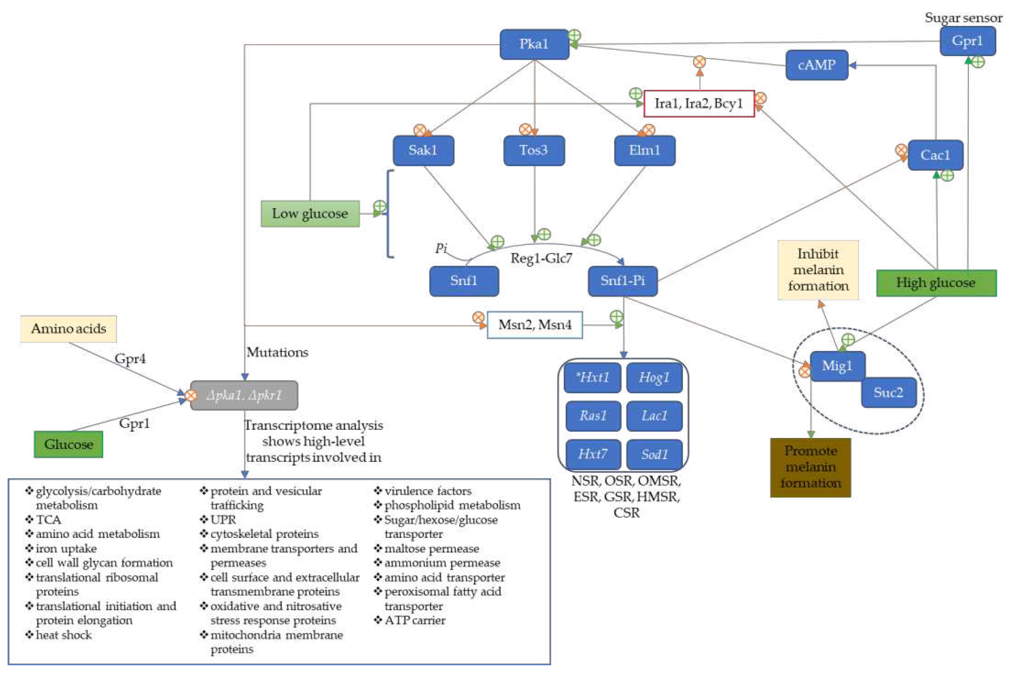 Preprints 76923 g002