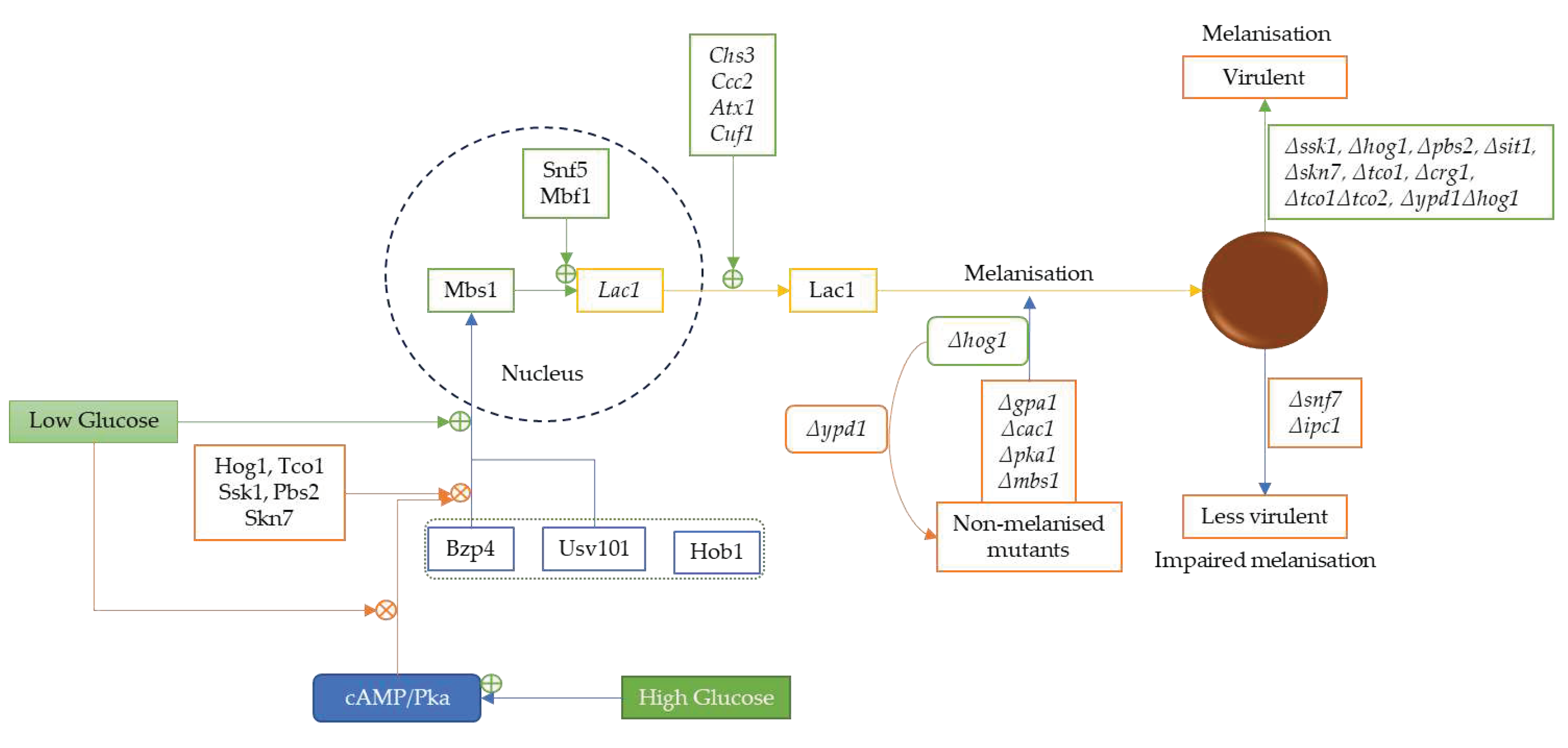 Preprints 76923 g004