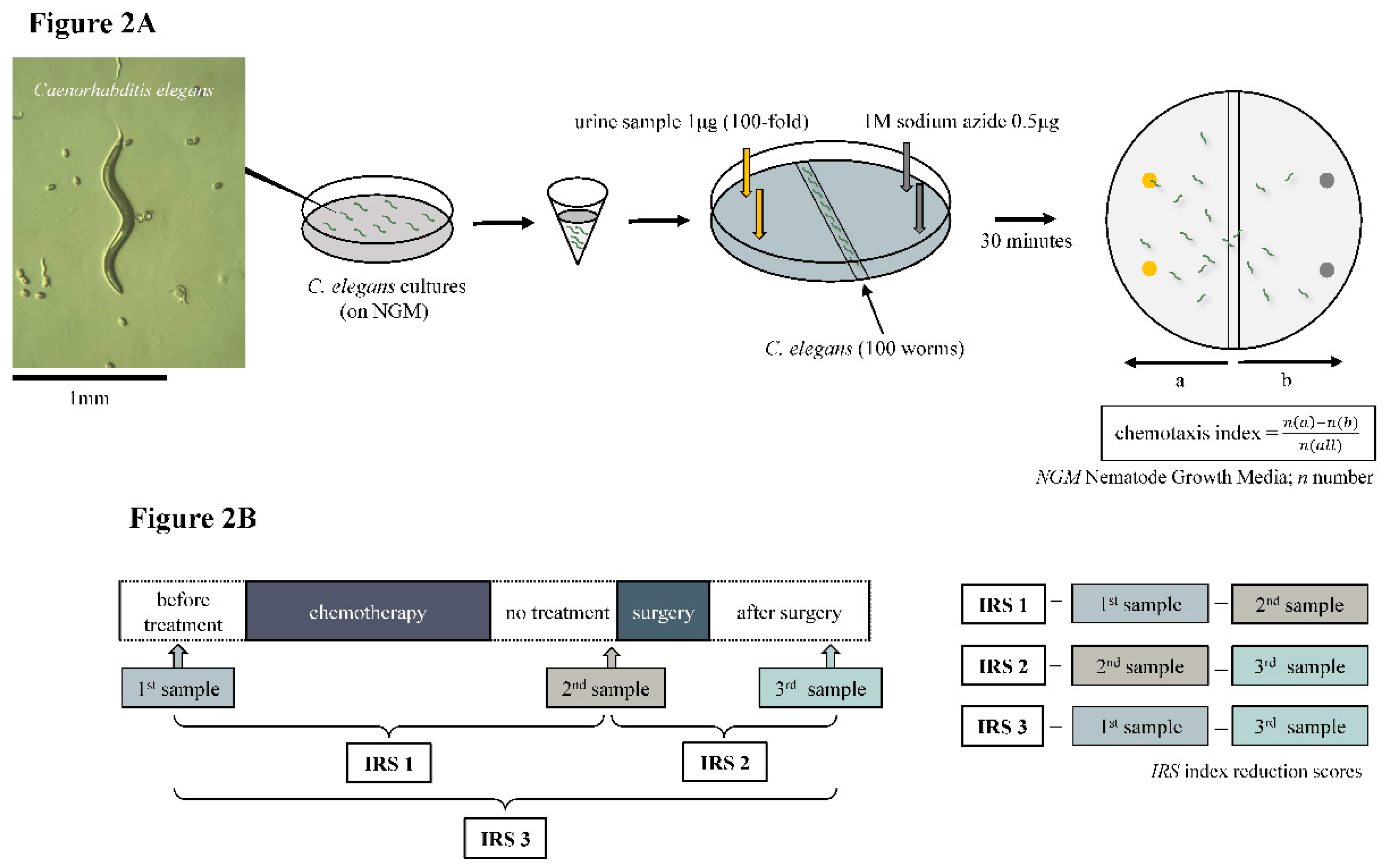 Preprints 78075 g002