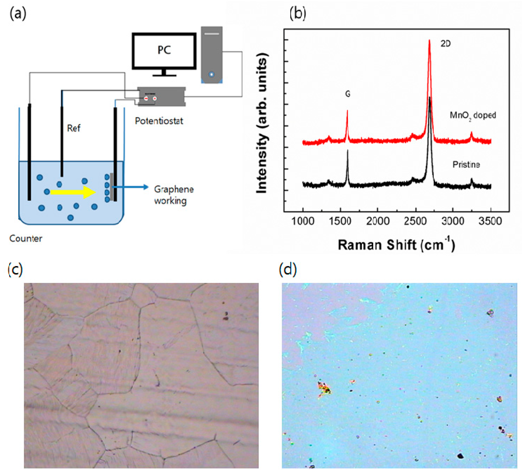 Preprints 106155 g001