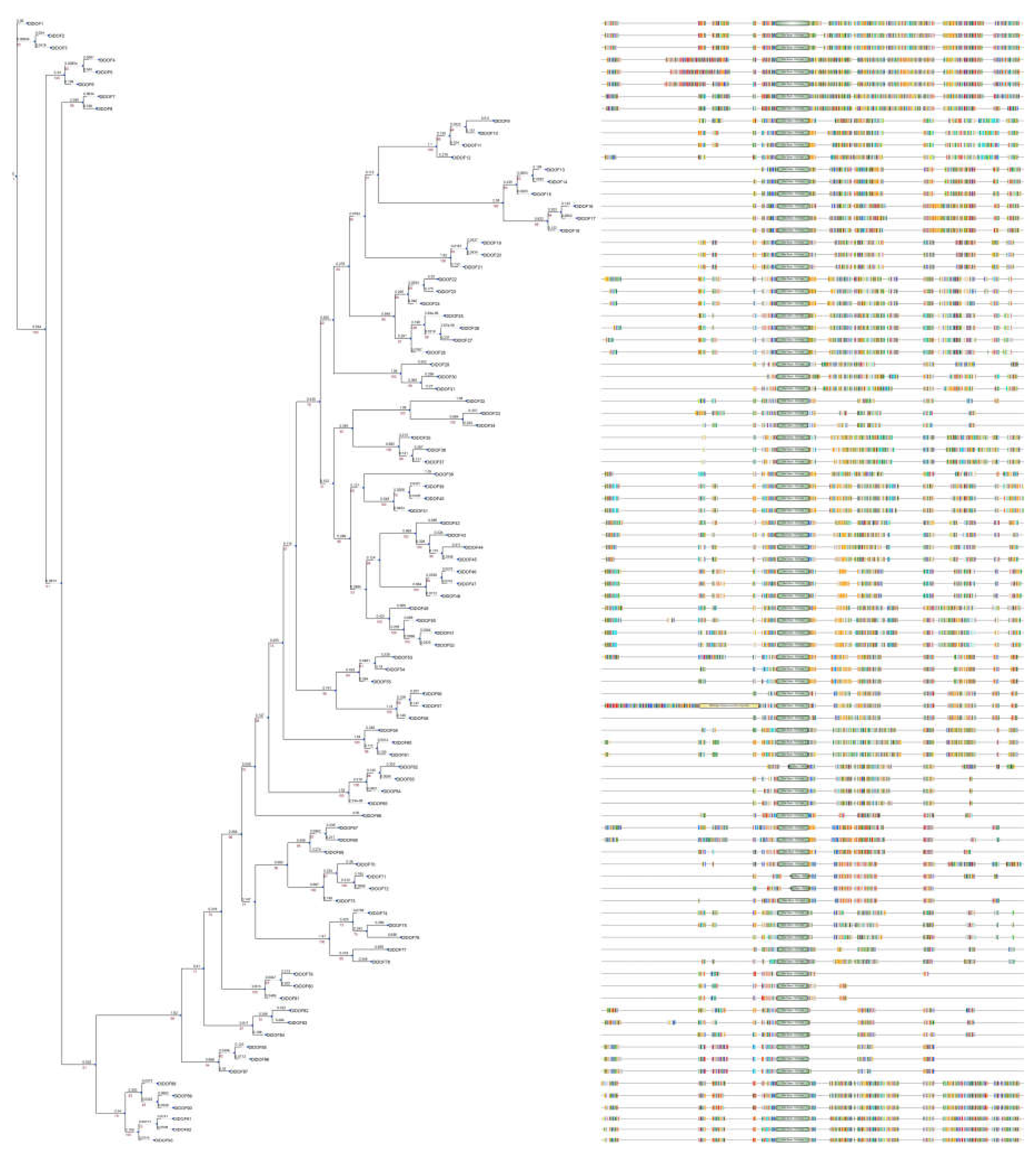 Preprints 111676 g003