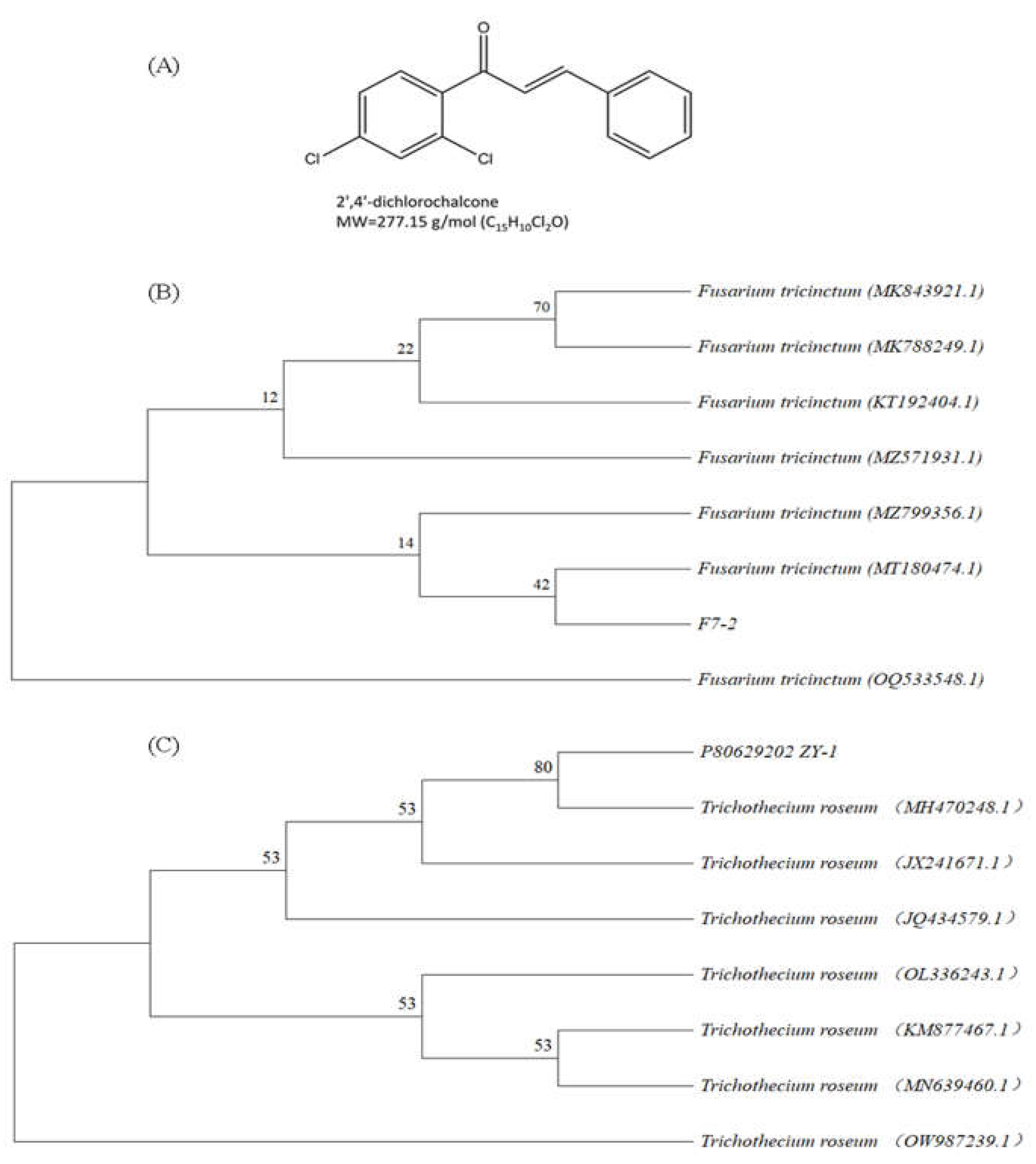 Preprints 86305 g001