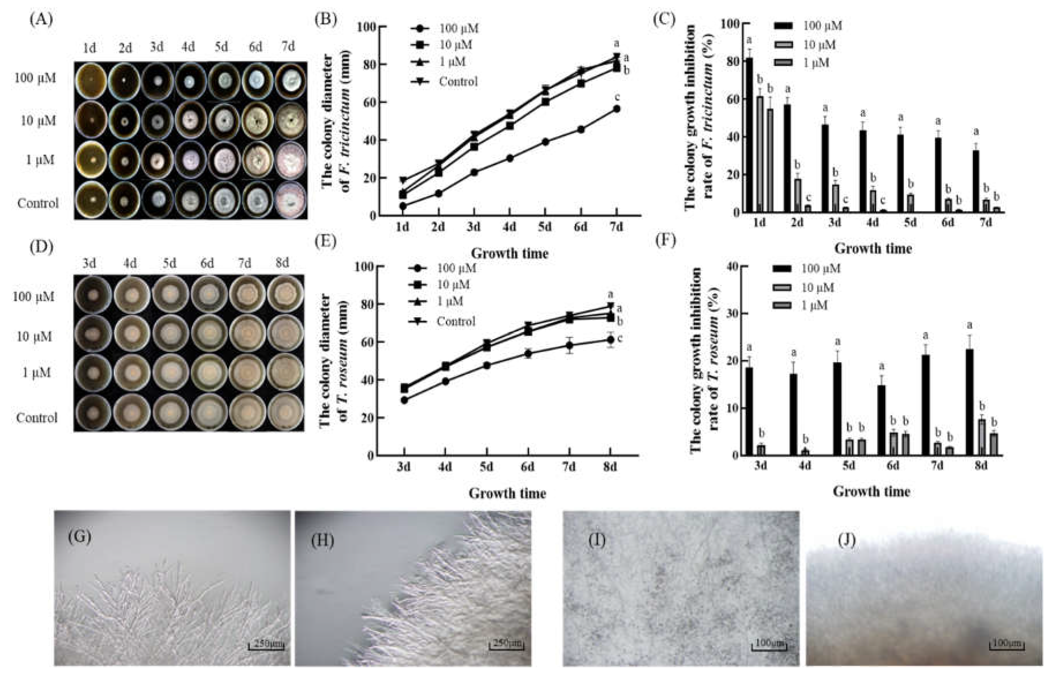 Preprints 86305 g003