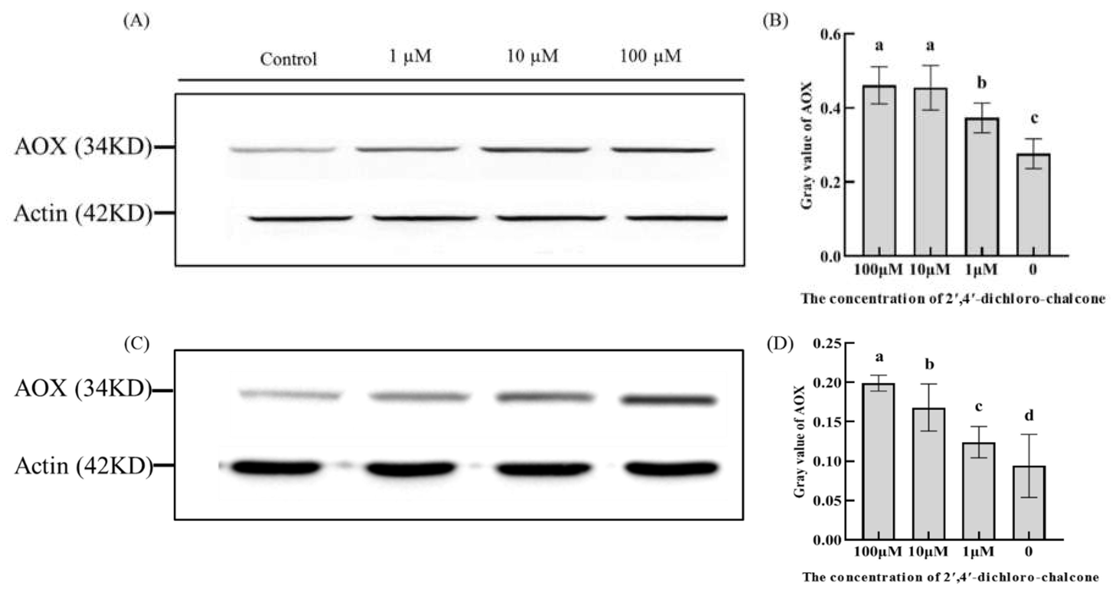 Preprints 86305 g007