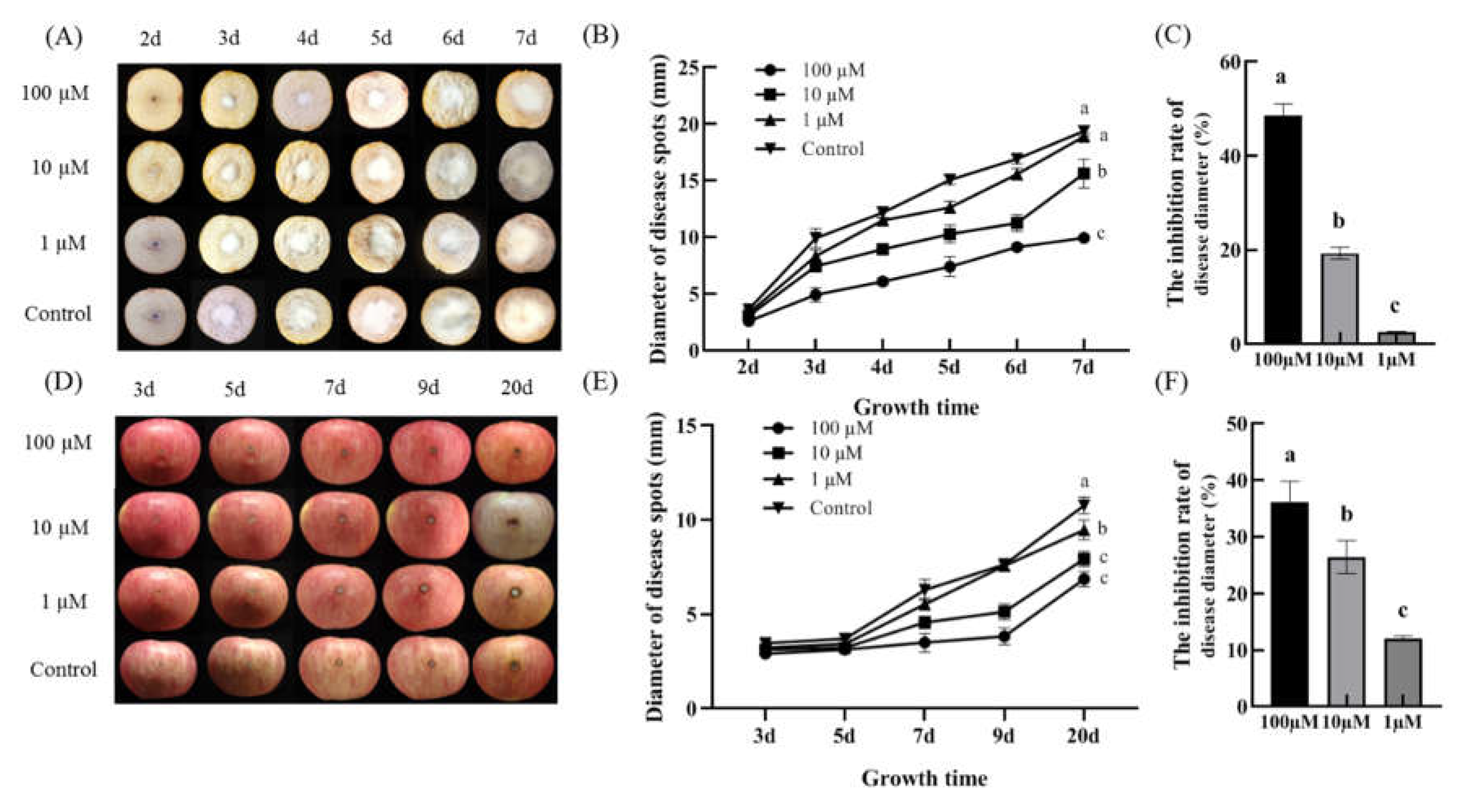 Preprints 86305 g009