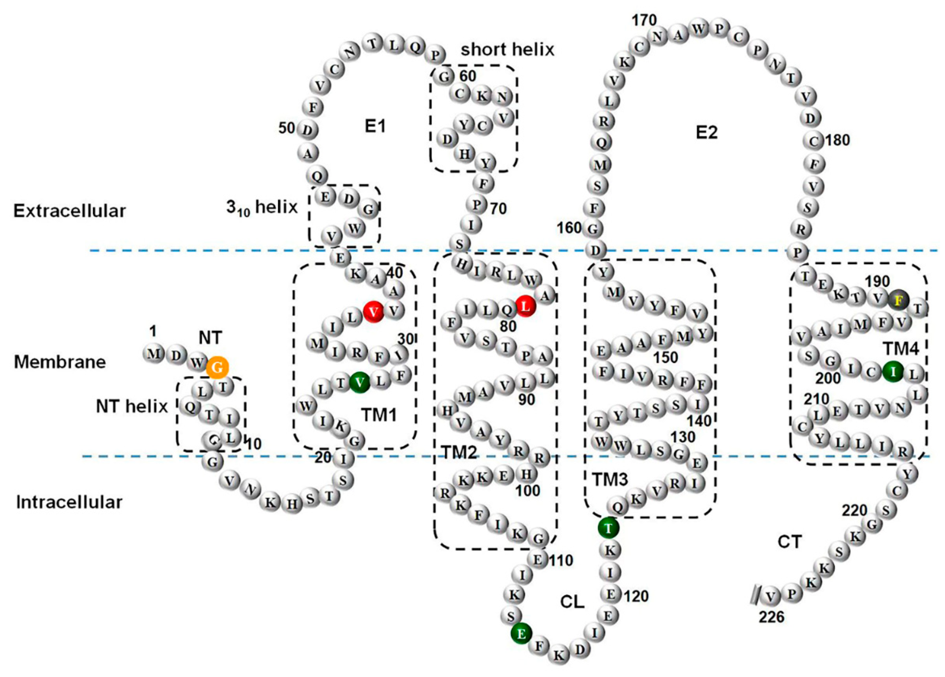 Preprints 85906 g004