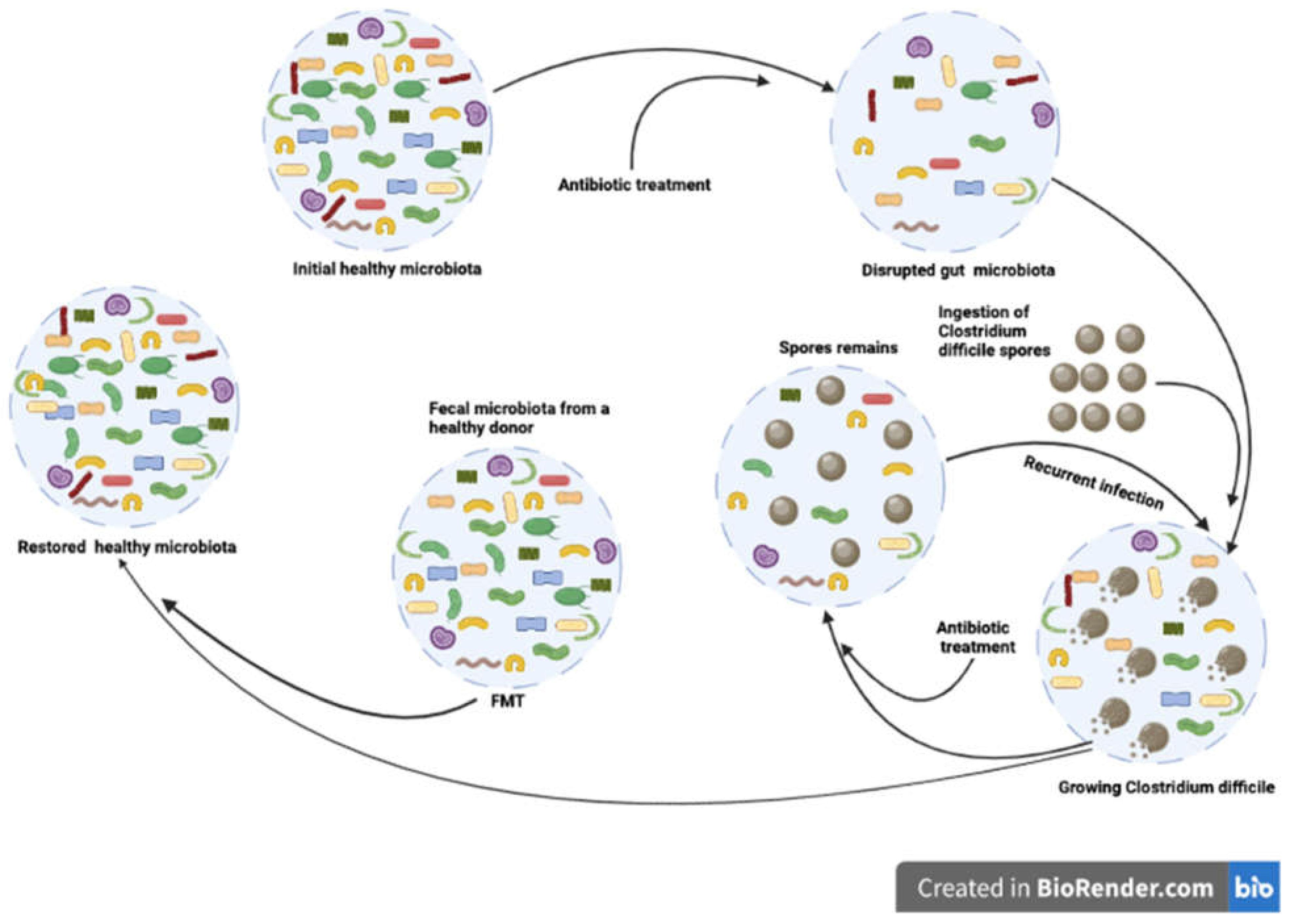 Preprints 68137 g004