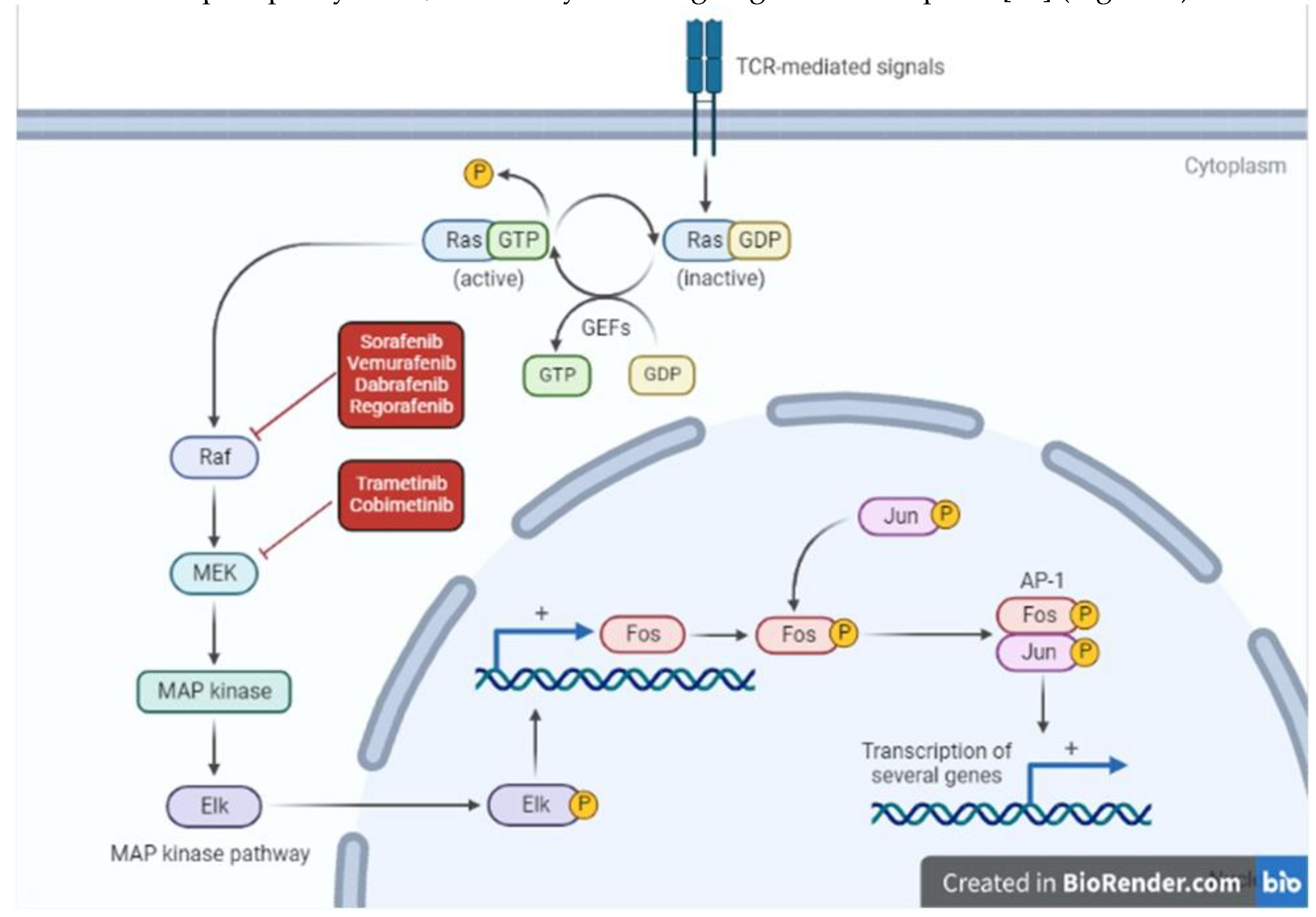 Preprints 73622 g002