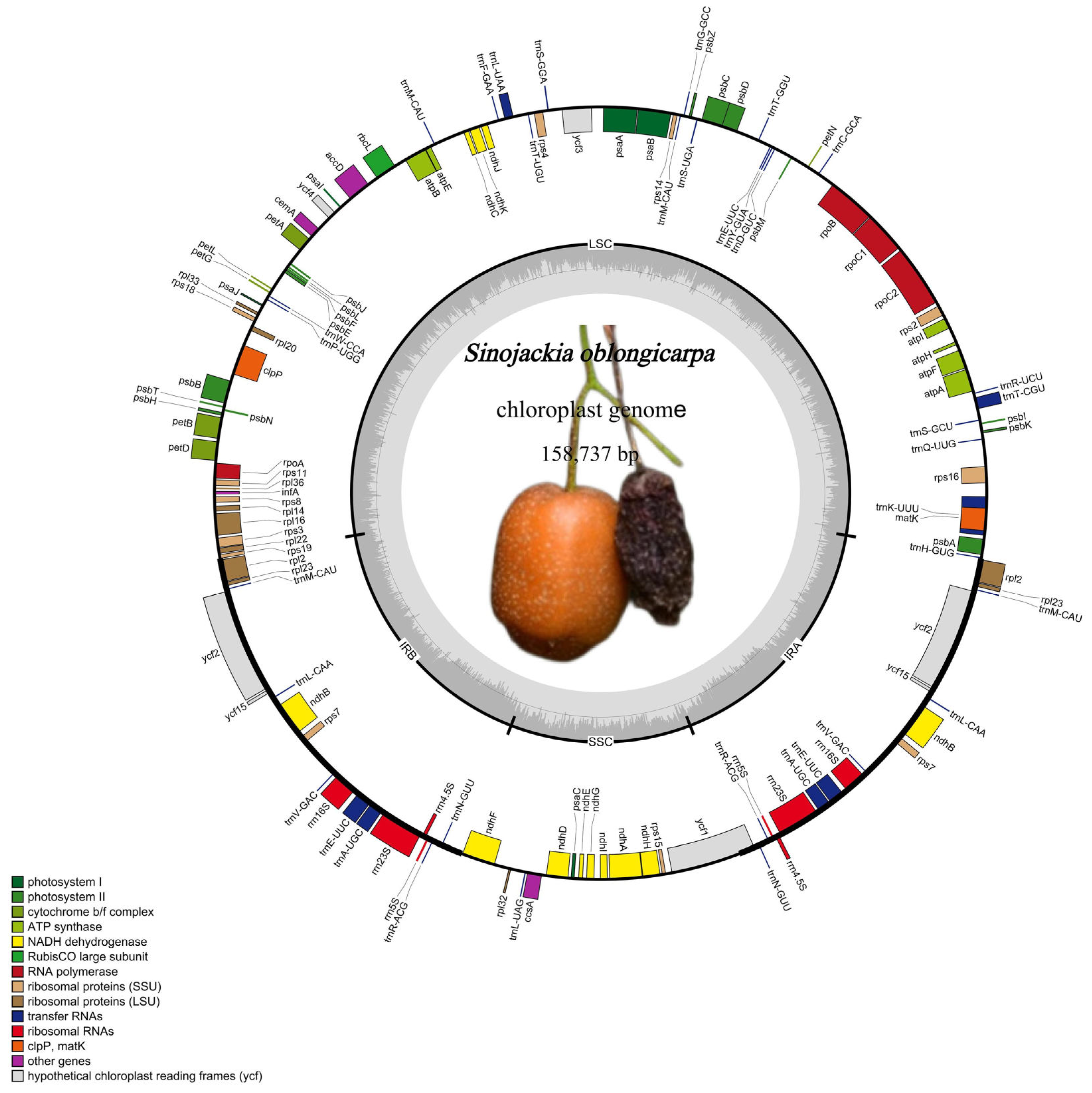 Preprints 105941 g002