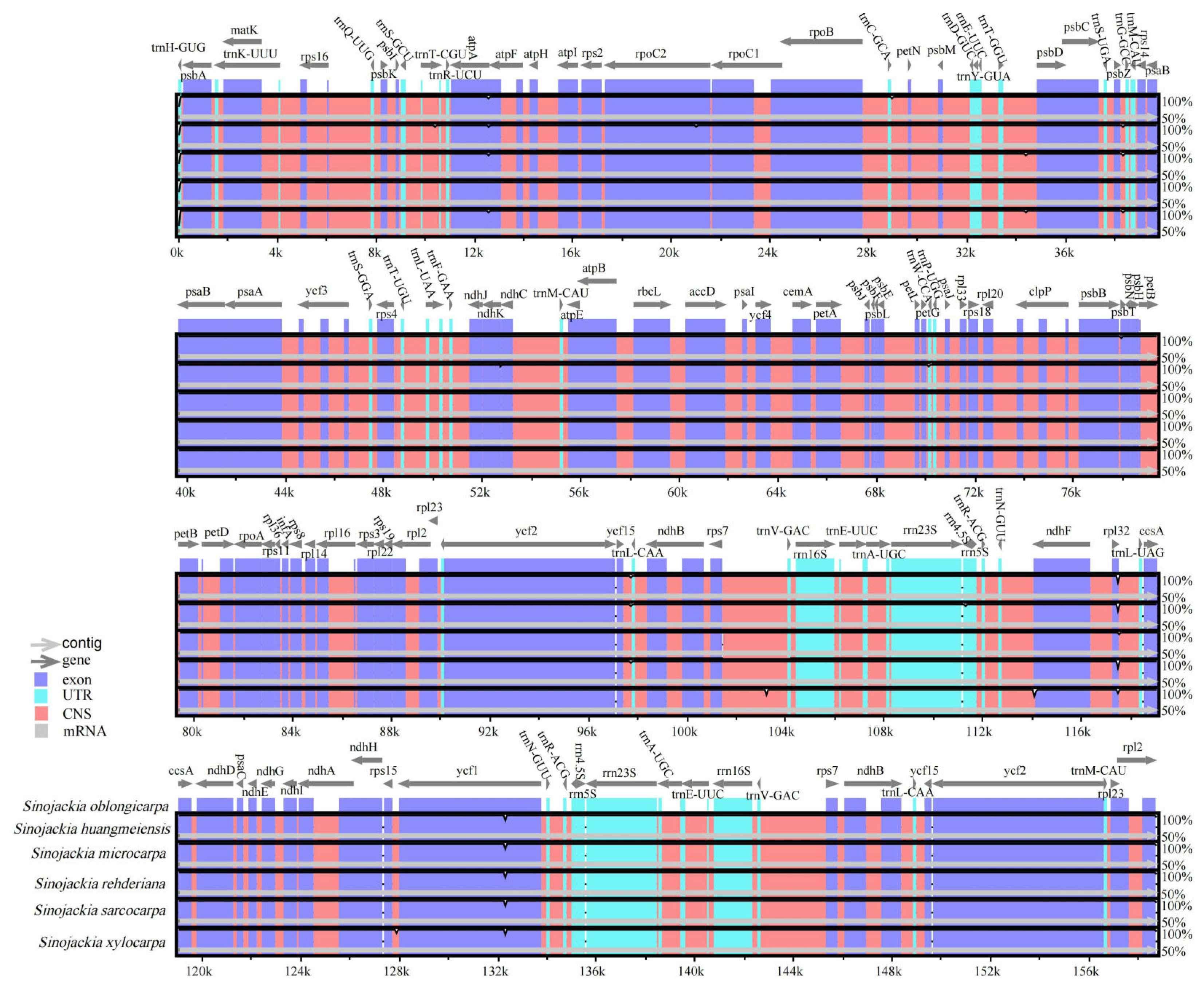 Preprints 105941 g003