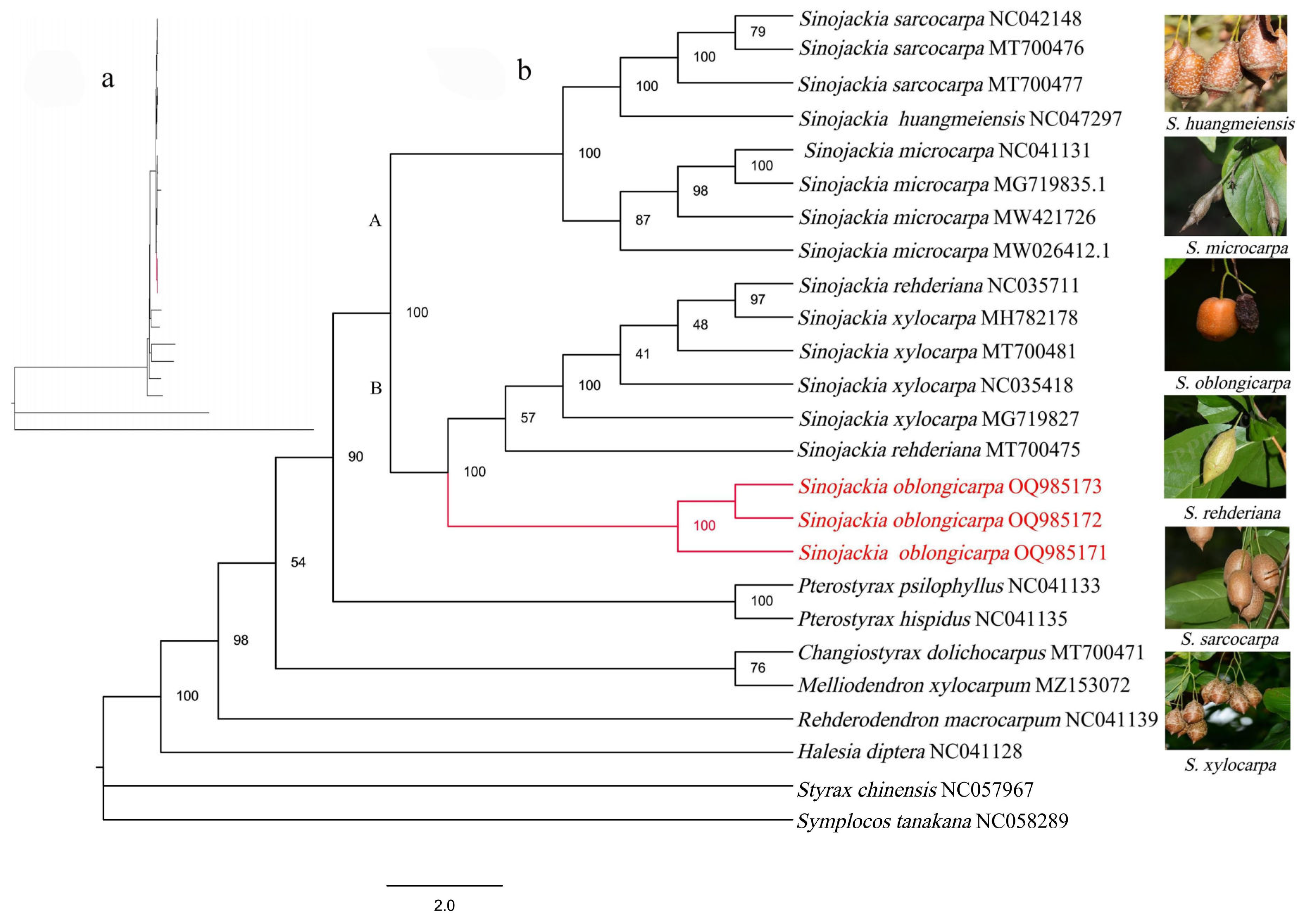 Preprints 105941 g006