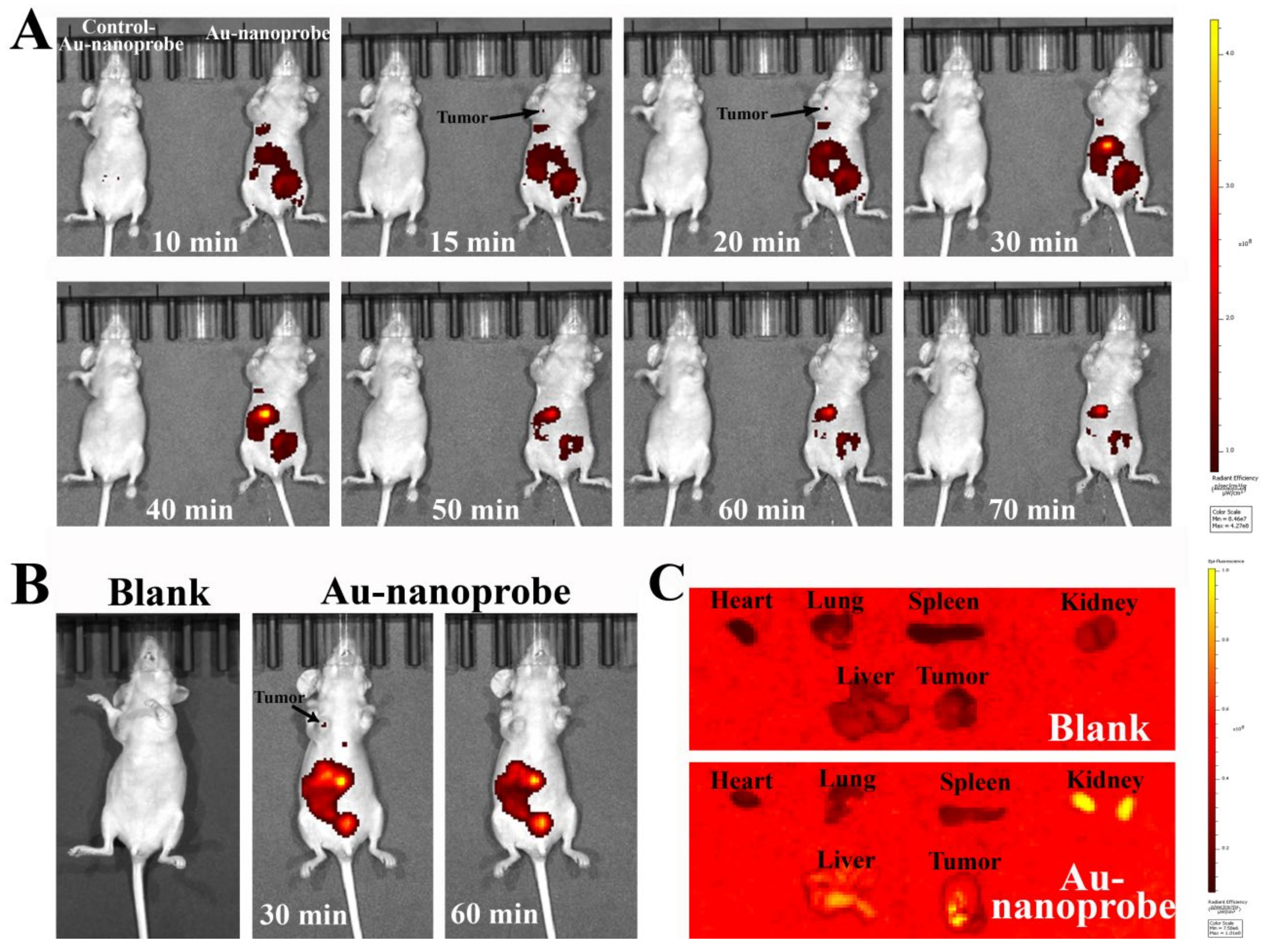 Preprints 138726 g004