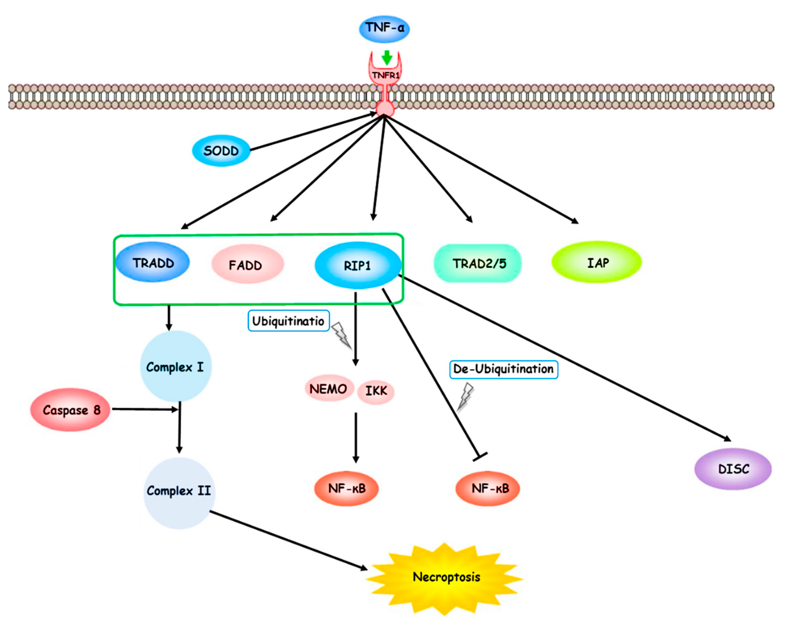 Preprints 71781 g001