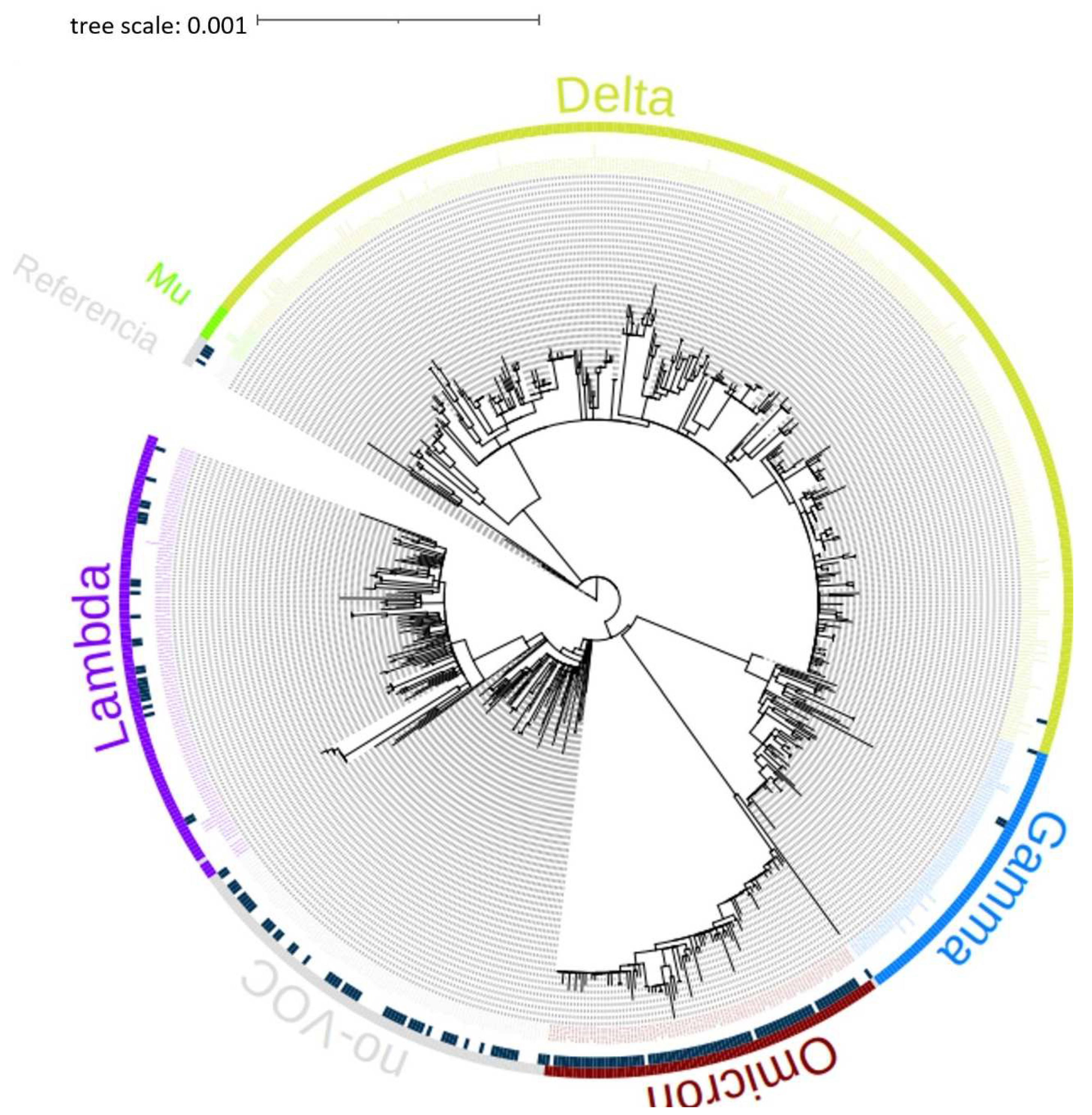 Preprints 91241 g001