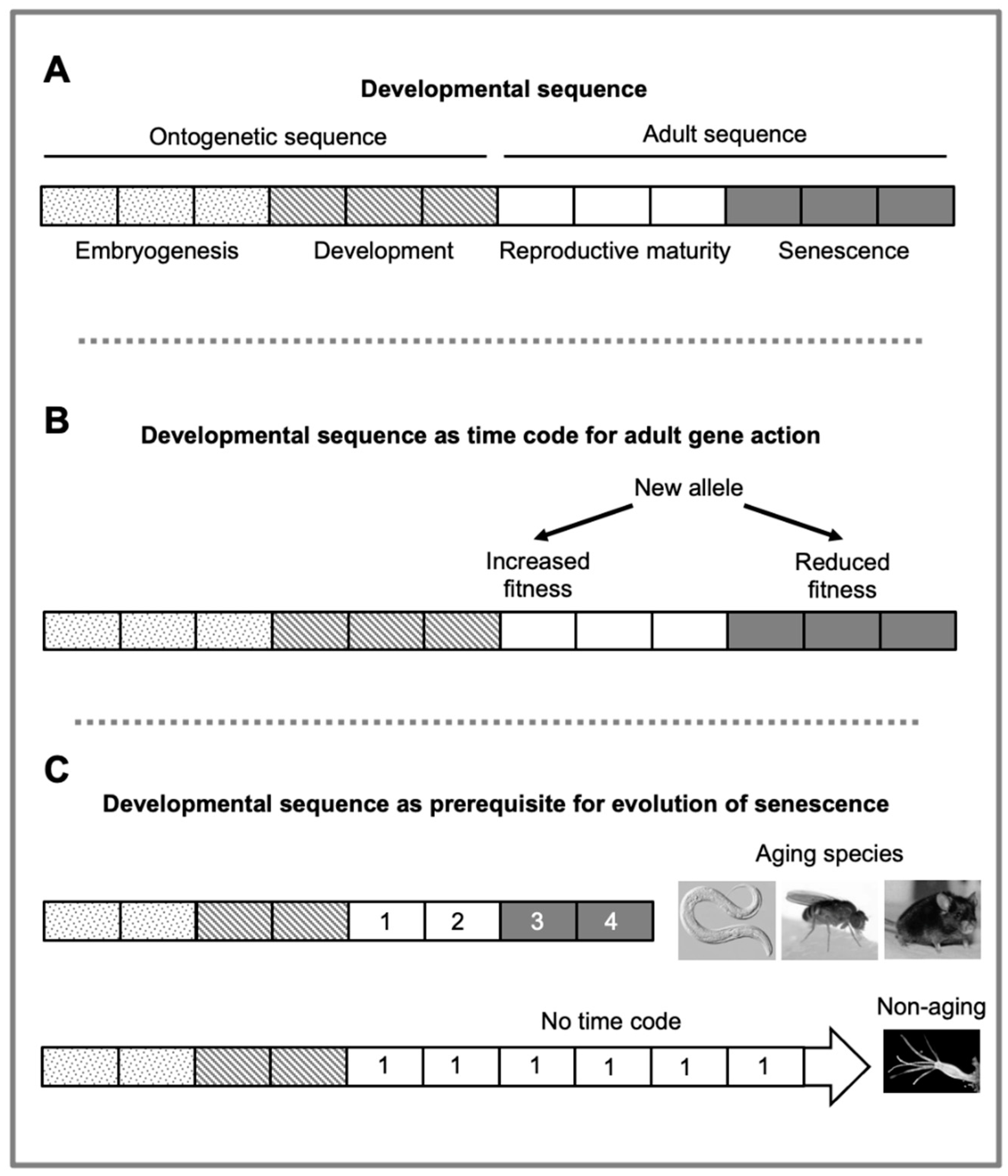 Preprints 94396 g003